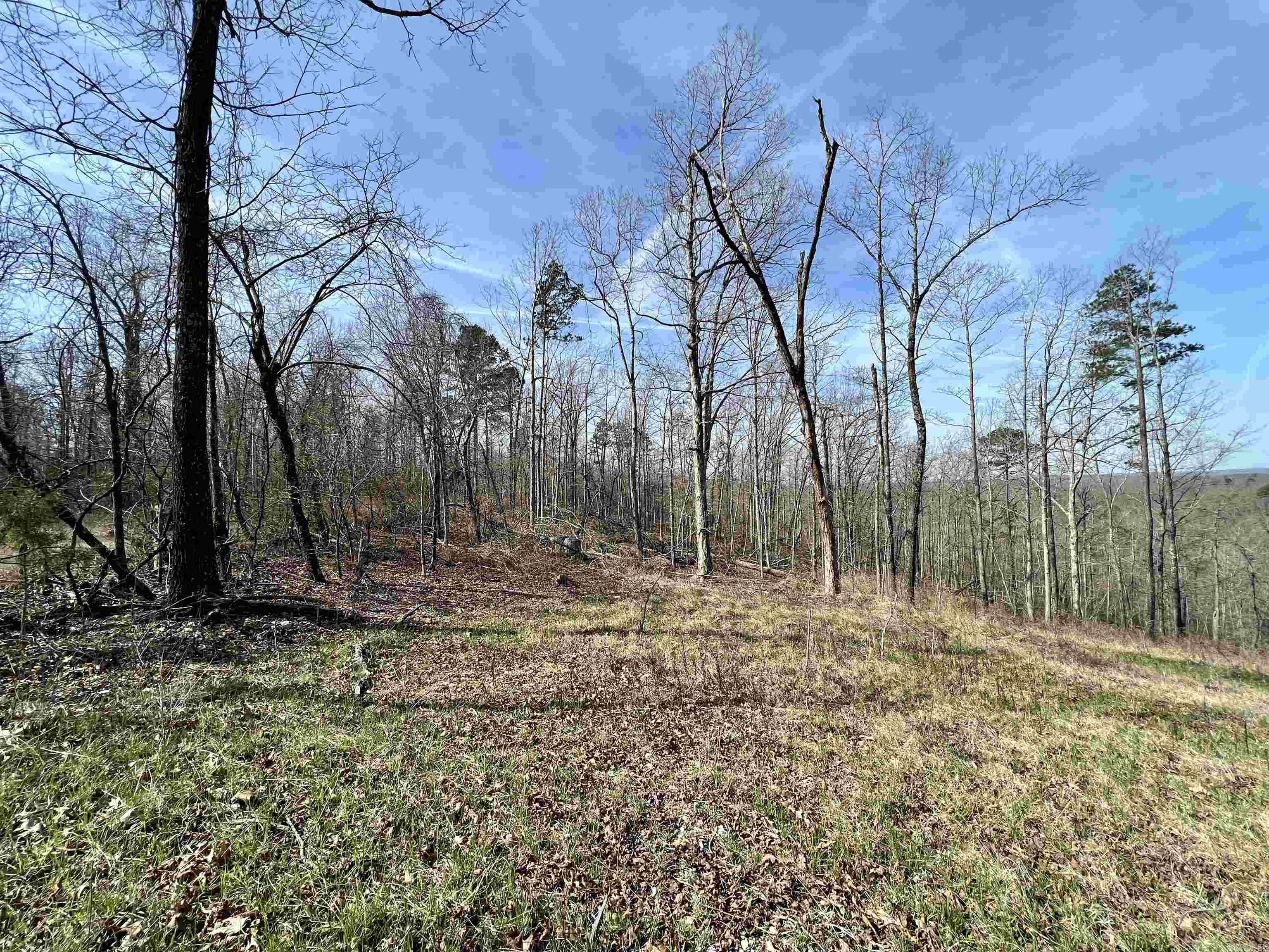 Not in Subdivision - Land