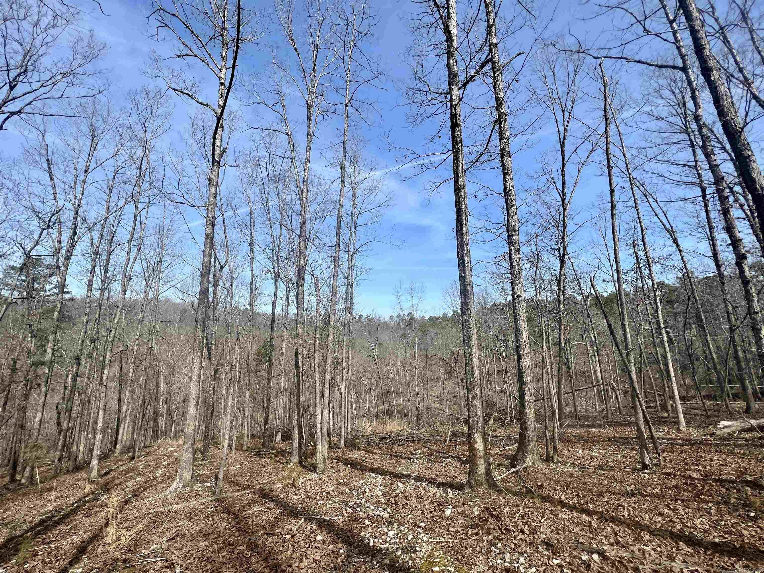 Not in Subdivision - Land