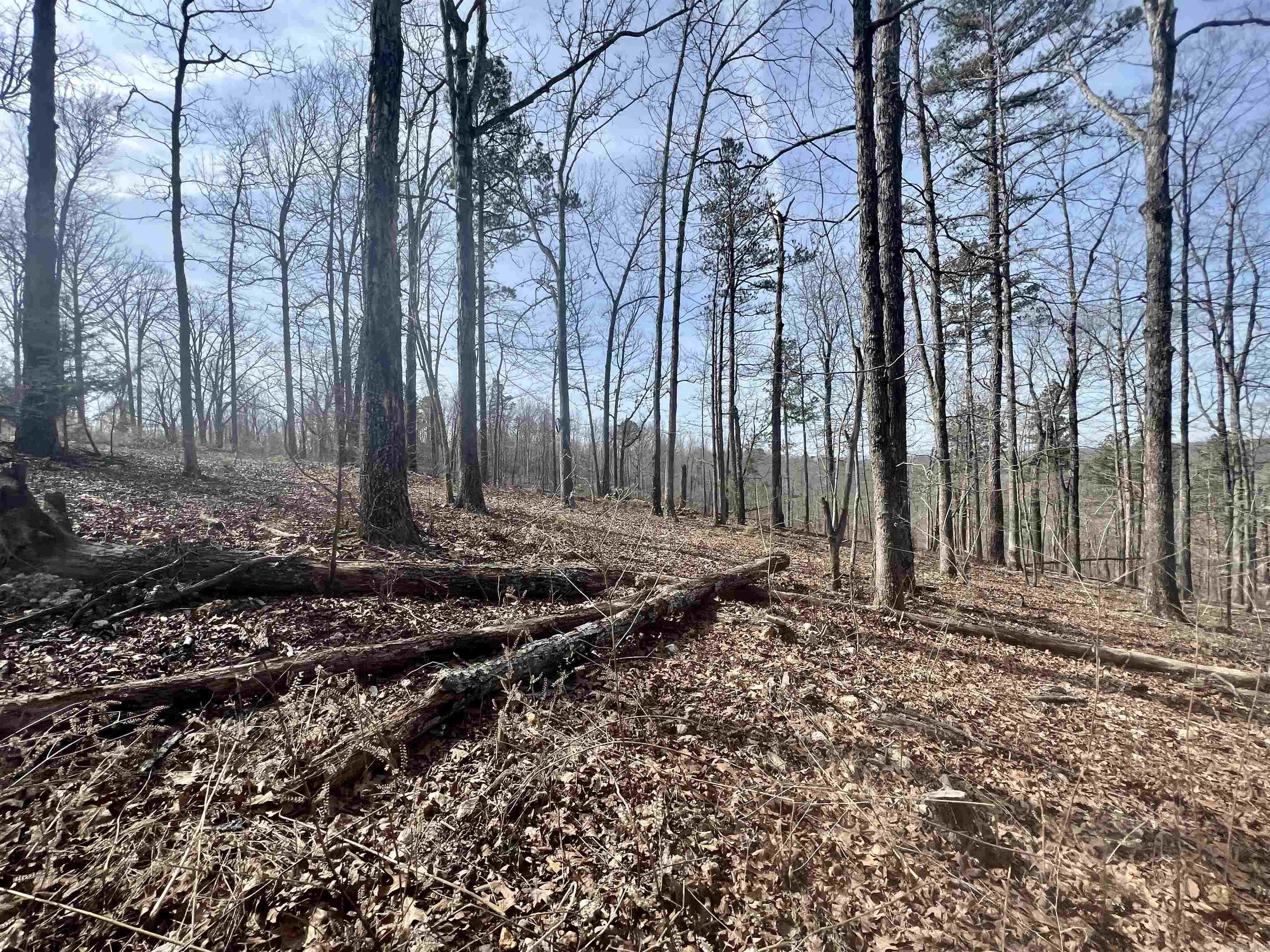 Not in Subdivision - Land