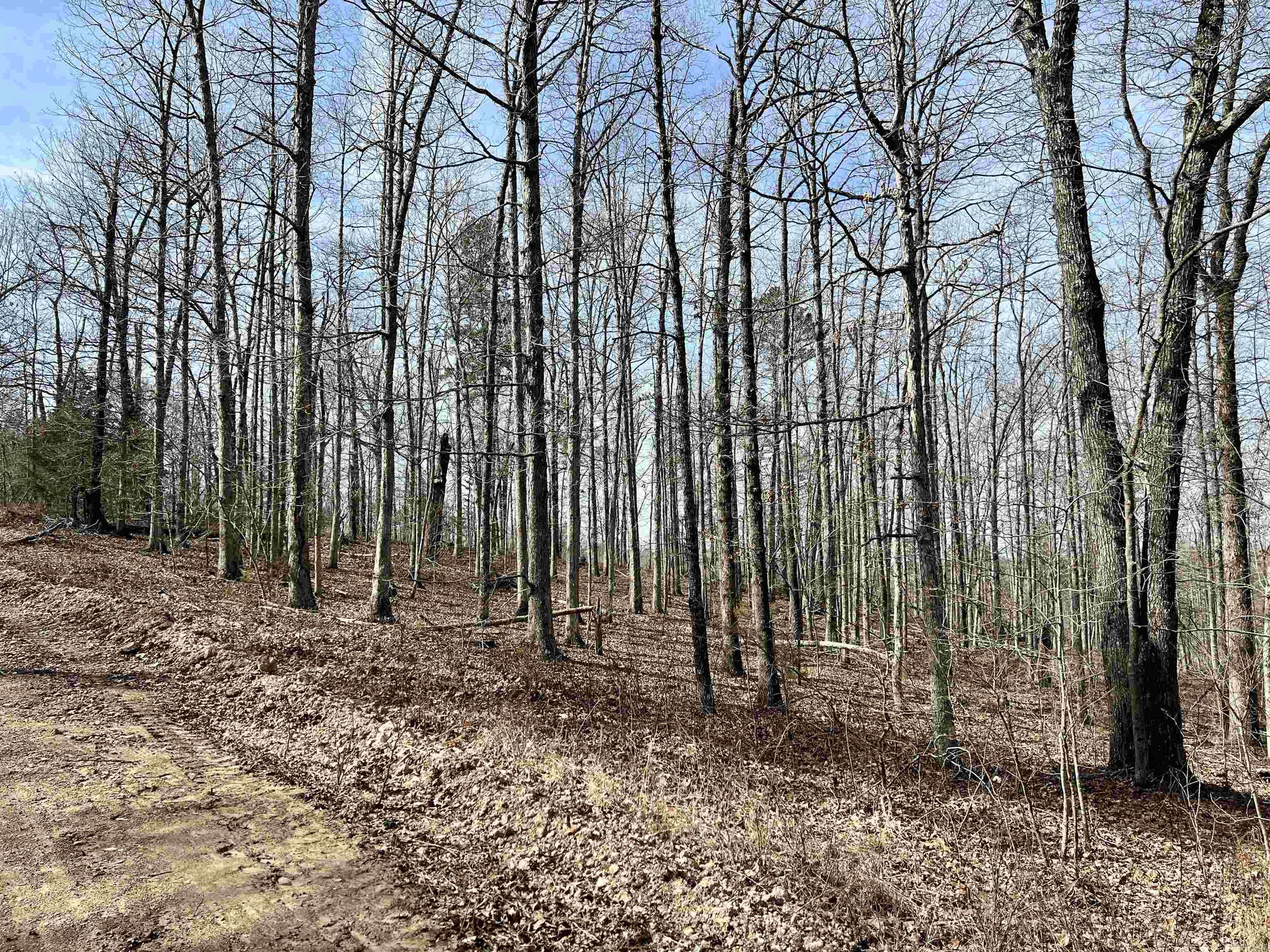 Not in Subdivision - Land