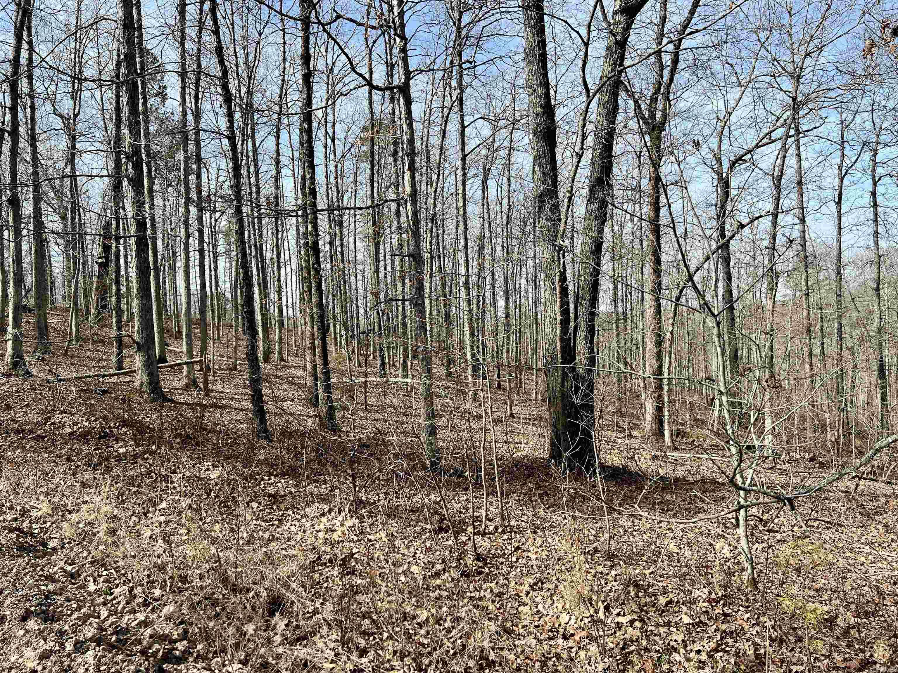 Not in Subdivision - Land