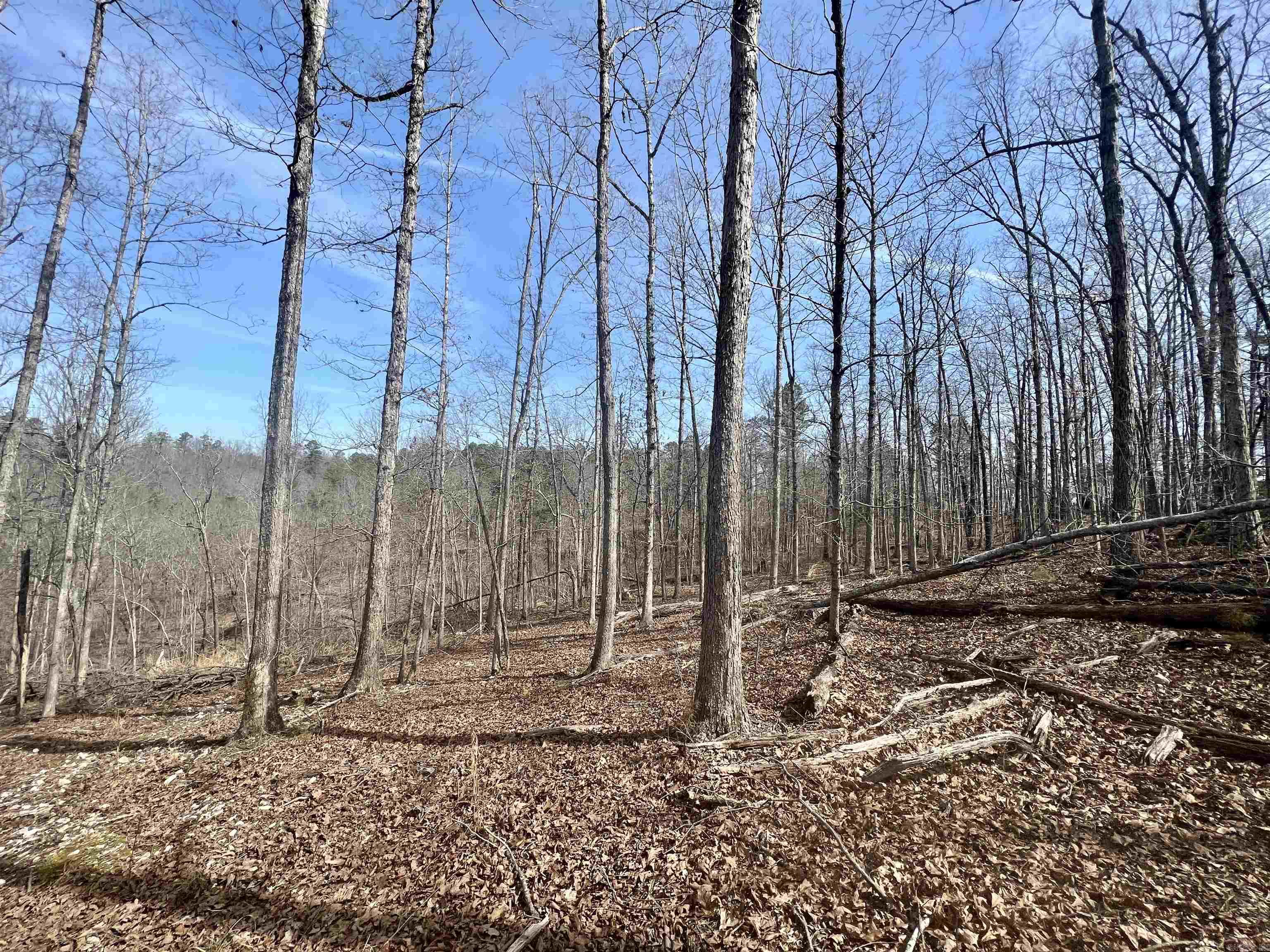 Not in Subdivision - Land