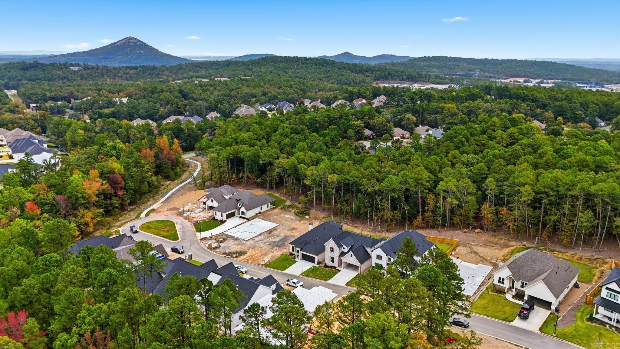 CHENAL VALLEY CALION COURT - Residential