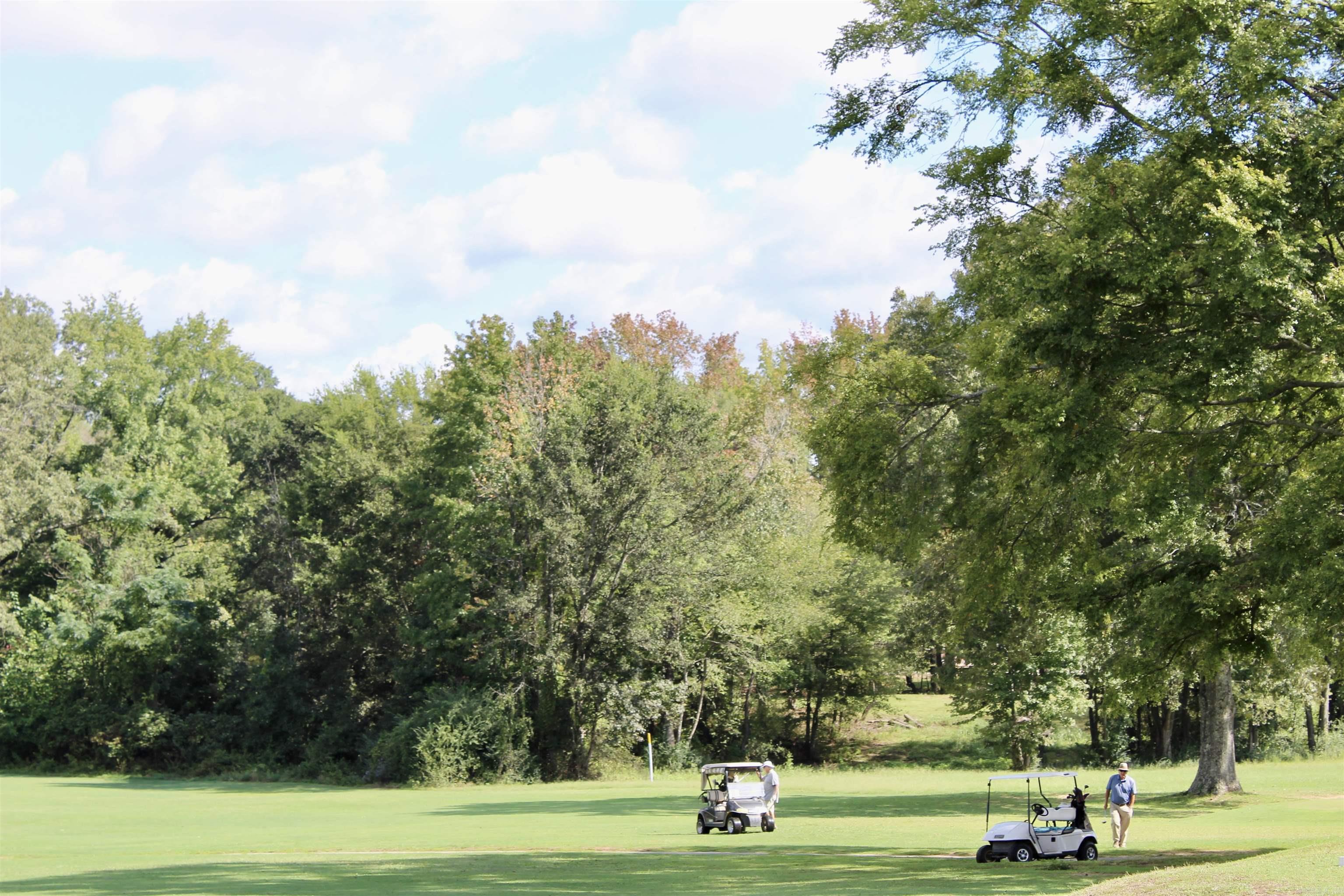 COUNTRY CLUBADDN (BALD KNOB) - Residential