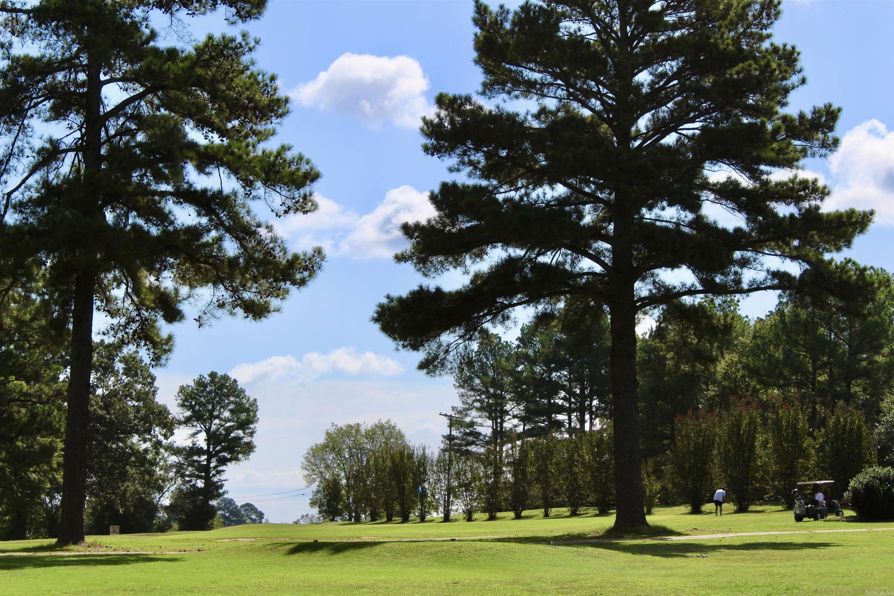 COUNTRY CLUBADDN (BALD KNOB) - Residential