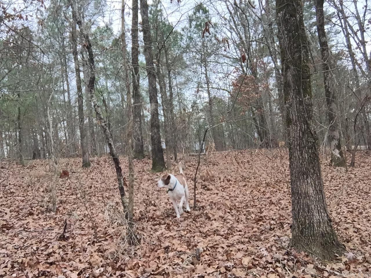 Lakeside - Residential