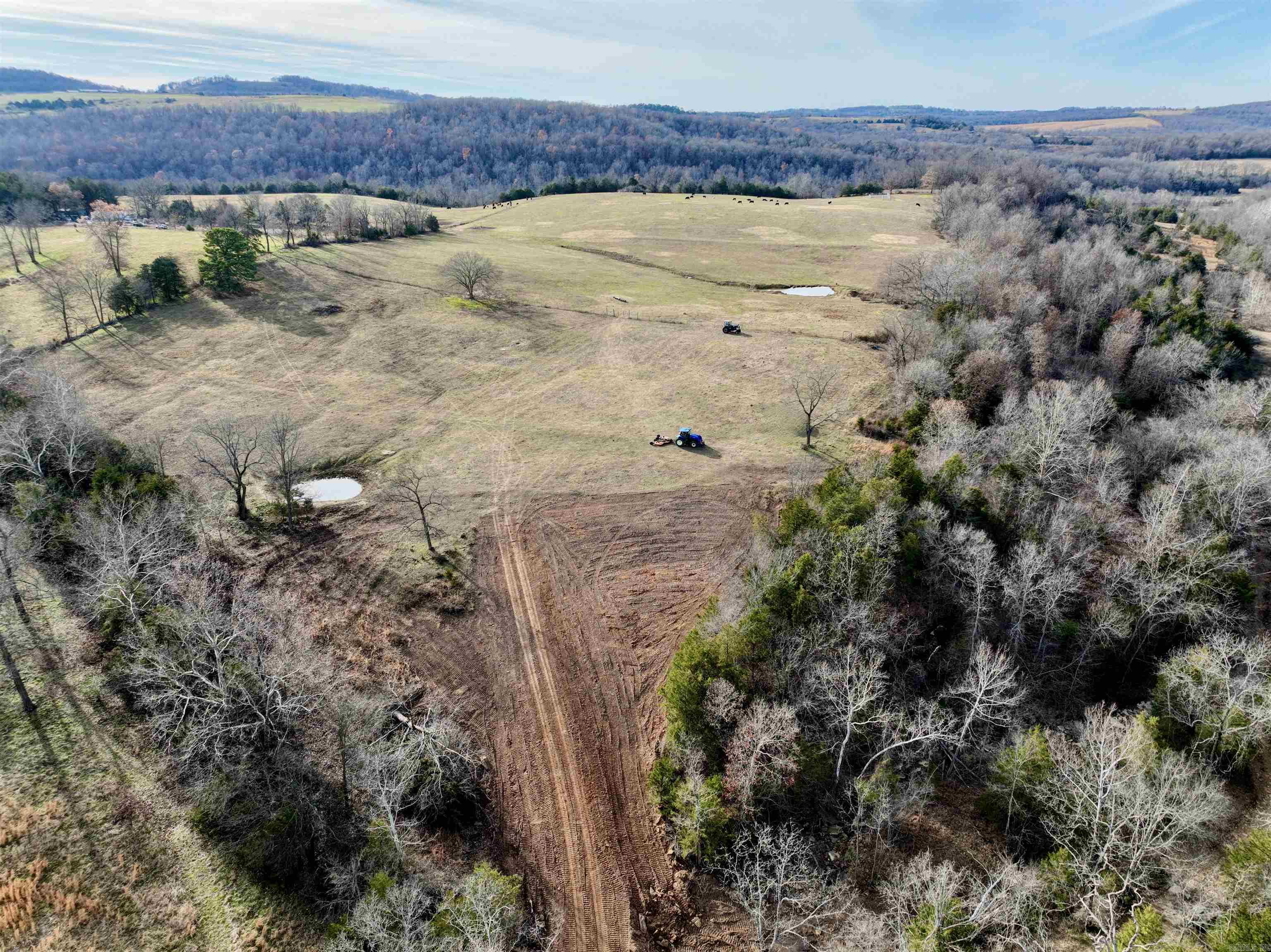 Nestled just minutes from the charming town of Huntsville, this sprawling farm offers an exceptional opportunity for those seeking both a tranquil rural lifestyle and an investment with boundless potential. With a gated entrance, the property ensures privacy and security, providing a peaceful retreat from the hustle and bustle of everyday life. The farm is fully fenced and cross-fenced, making it ideal for running cattle, horses, or other livestock. The open pasture is complemented by two serene ponds, a spring, and a pristine seasonal creek, offering natural water sources for your animals and creating a picturesque landscape. The gently rolling terrain presents a perfect balance of open fields and dense hardwood timber, enhancing the property’s aesthetic appeal while providing a variety of recreational opportunities. Numerous prime locations are scattered throughout the property, each offering breathtaking panoramic views of the Ozarks—an idyllic setting for building your dream home. With electric and water utilities nearby, you can easily establish the perfect homestead or farmstead. The area is also known for its abundant population of Whitetail deer.