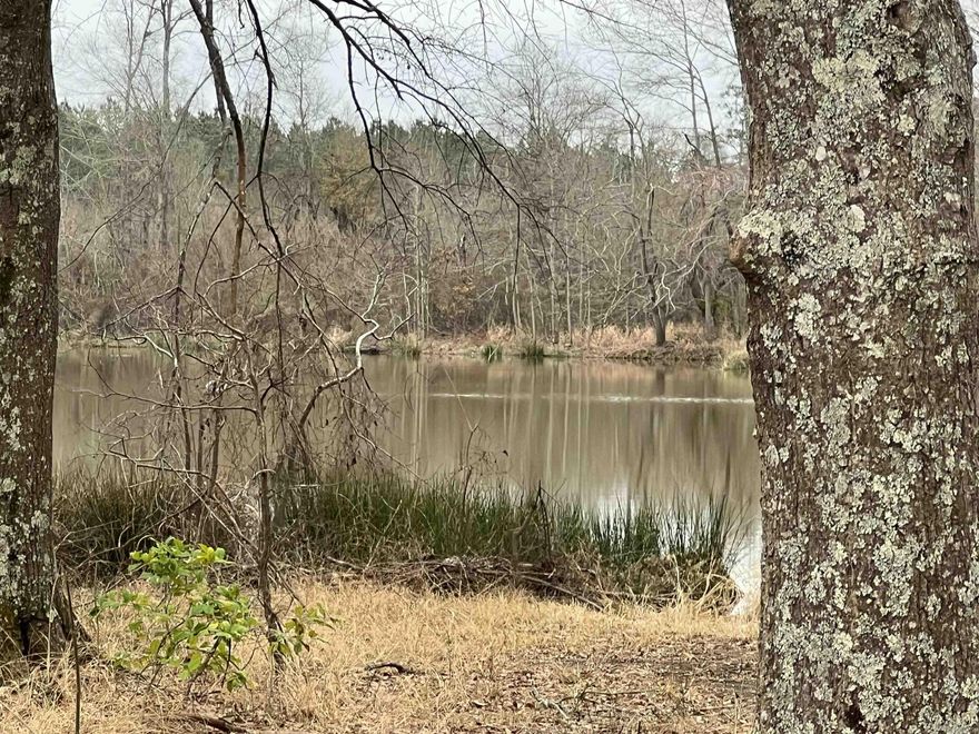 The Hwy 82 West Tract is a diverse 71-acre property located just 1 mile west of Magnolia, Arkansas, offering a unique combination of recreational opportunities, timber investment potential, and excellent homesite possibilities. With approximately 800 feet of frontage along Highway 82, the property provides convenient access while remaining just minutes away from the amenities of Magnolia. One of the most notable features of the property is the presence of two ponds totaling approximately 14 acres, creating exceptional opportunities for fishing, wildlife habitat, and scenic waterfront views. These ponds add both recreational value and beautiful potential homesites overlooking the water. The timber composition further enhances tracts value and diversity. Approximately 36 acres are planted in a 5-year-old pine plantation, providing long-term timber investment potential, while 17 acres consist of a mature stand of mixed pine and hardwood, offering excellent wildlife habitat and natural beauty. The mix of young and mature timber creates a property that appeals to both investors and outdoor enthusiasts. With utilities available along the road and located within the Magnolia School Ditric