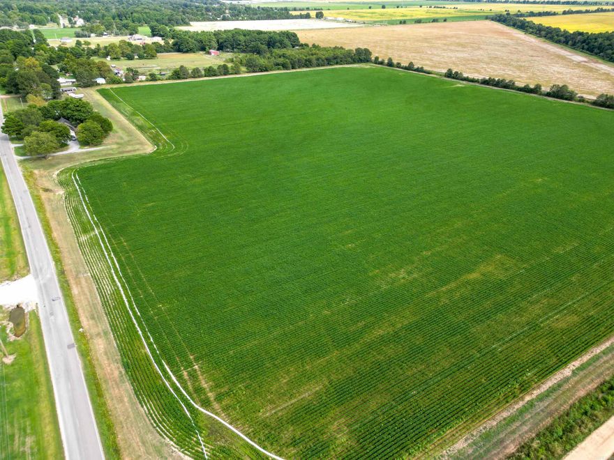 41 acres in Valley View school district with development potential.