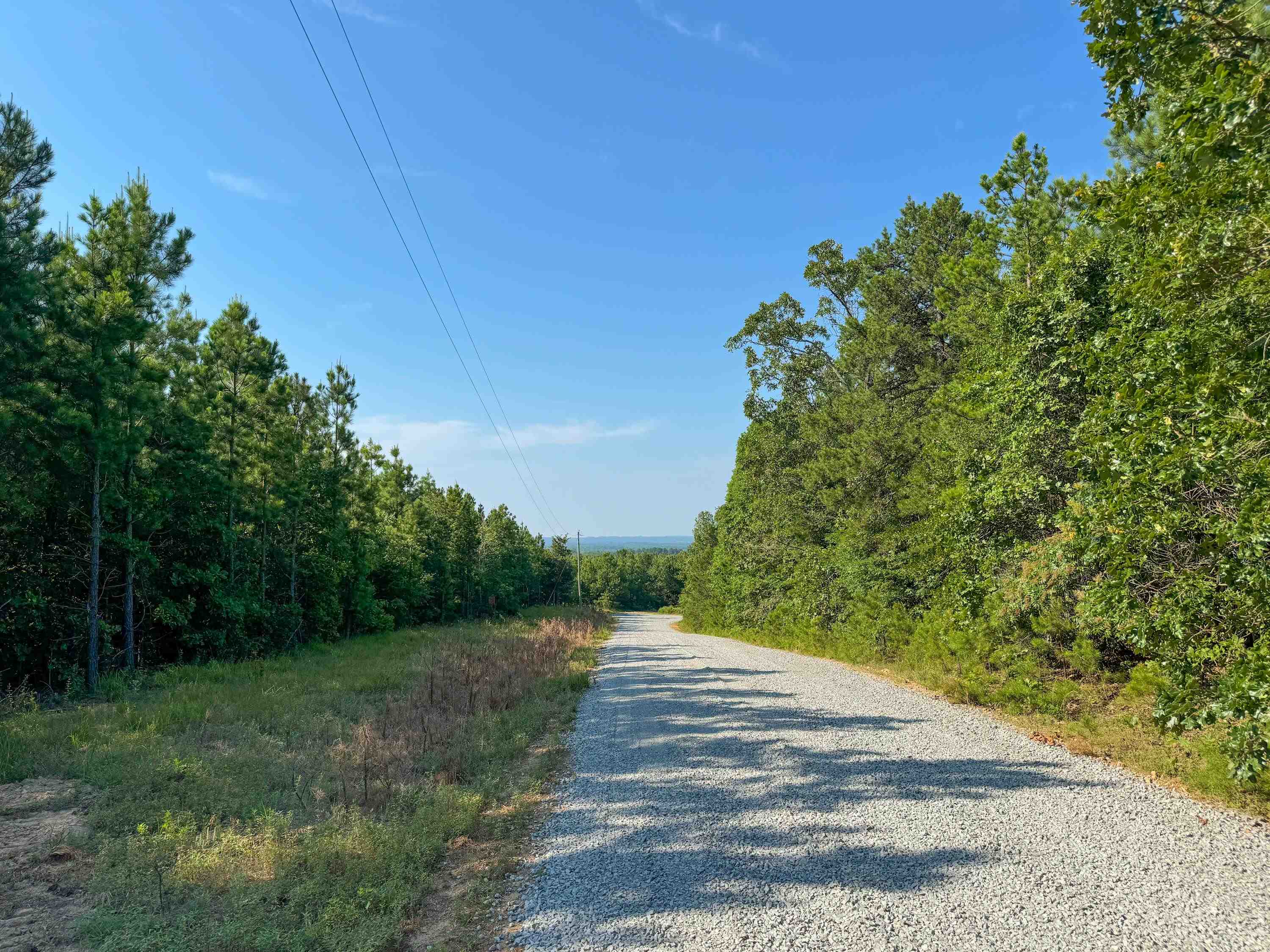 Quiet, secluded location to build a home or hunting cabin. There is a house place at the top of the knoll with a water well and electric pole. With some clearing, there is a spectacular 360-degree view of the pond and surrounding hills. You will see white-tailed deer almost every time you drive onto the property. Full of wildlife, wild blackberries and muscadine vines. Could also make a good investment property if you wanted to sell pines off. Listed for a reasonable price per acre -- don't wait until land prices go even higher. Come see it today.