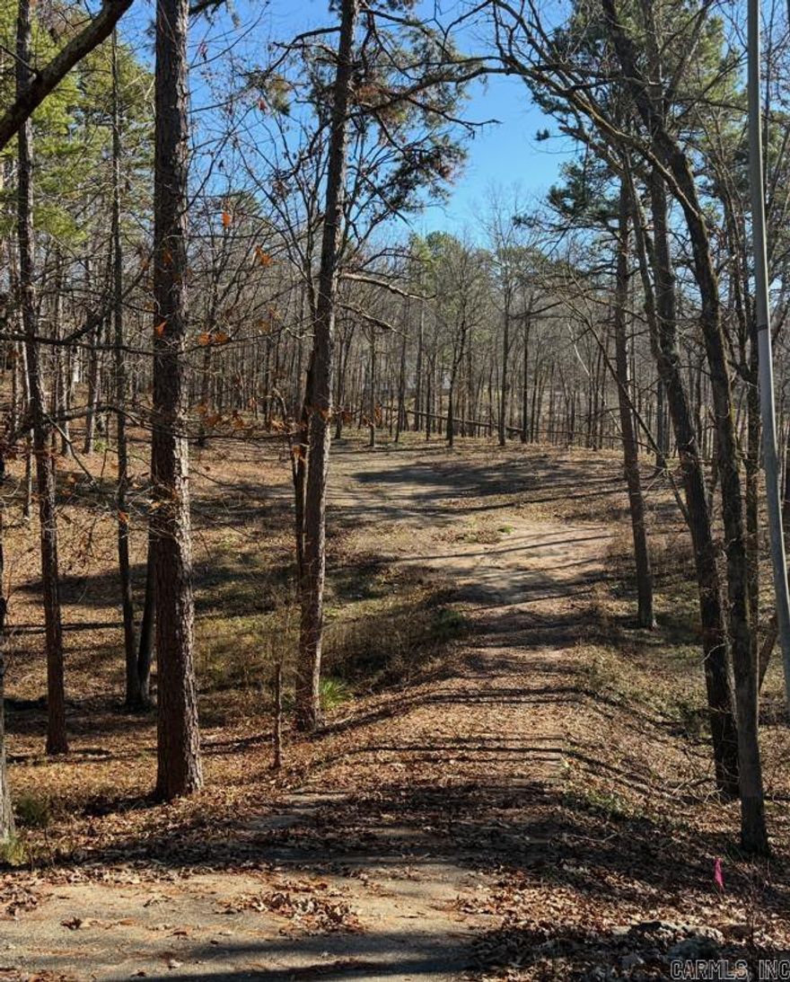 Nice subdivision lot ready for you to build your dream home on. This lot is located in Diamondhead Subdivision only a few minutes to Hot Springs and a few miles from Lake Catherine State Park. This community includes a PGA sactioned 18-hole golf course, lake access, Olympic size swimming pool, playground, basketball and tennis courts. NO SIGN ON LOT.
