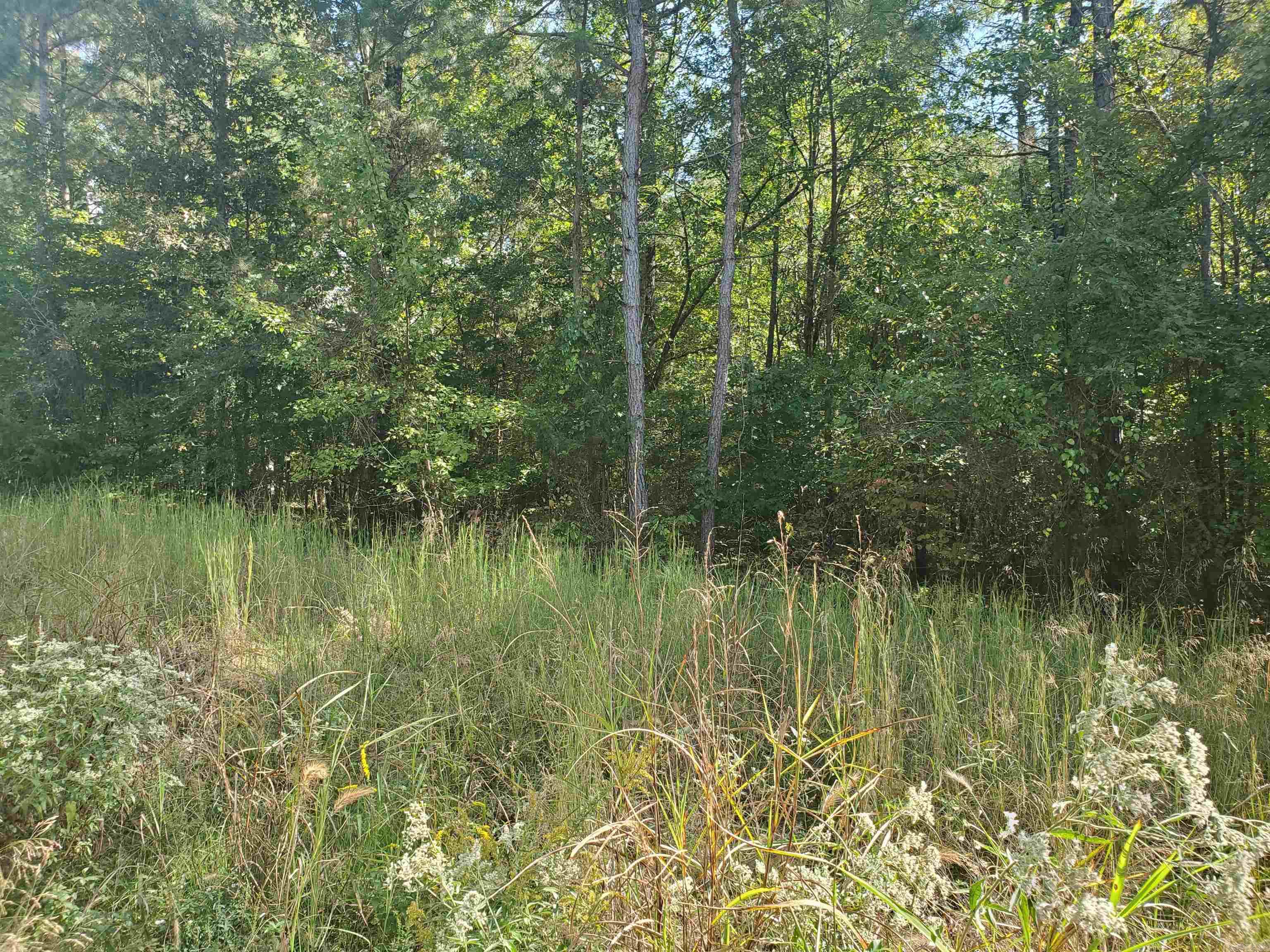 This amazing wooded property is located just seconds from Reeds Access at peaceful Lake Barnett. Build your new home surrounded by a beautiful community. Country living at its finest!