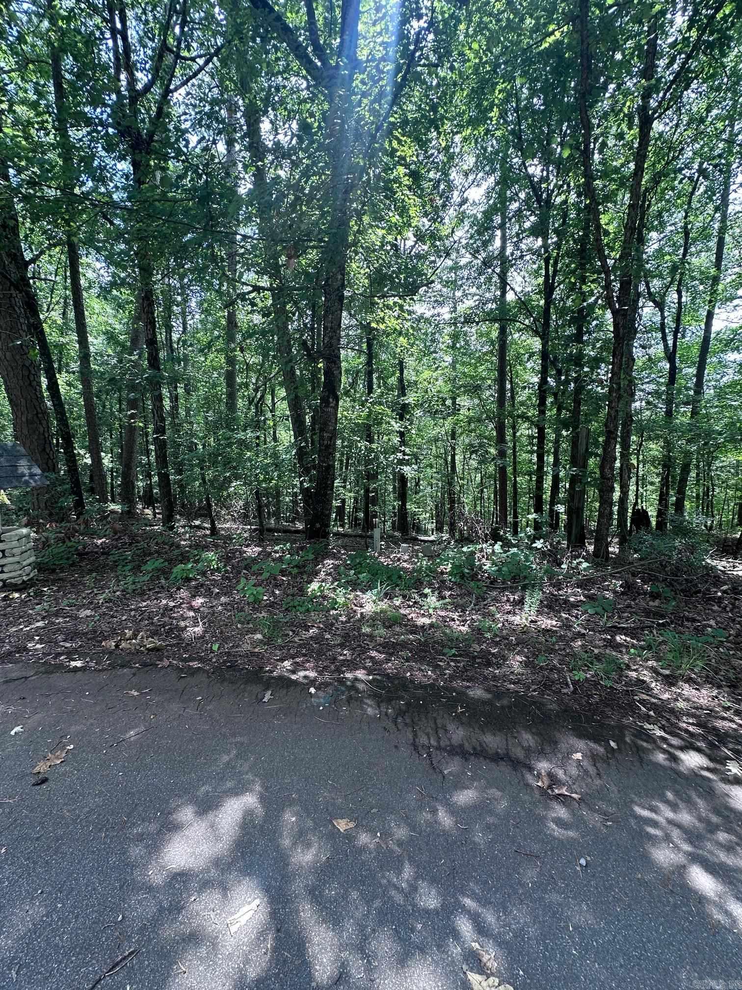 Wooded Lots in Cortez Golf Course Neighborhood ā Build Your Dream Home! Located on a quiet cul-de-sac in the desirable Cortez Golf Course neighborhood, this rare opportunity features two side-by-side wooded lots totaling .91 acres, just under one acre. The generous size offers the flexibility to build your dream home with extra space for privacy, outdoor living, or a larger custom design. Enjoy the peaceful setting of this established neighborhood while being just minutes from golf, lakes, trails, and Village amenities. Whether youāre looking for a full-time residence or a relaxing retreat, these lots provide the perfect canvas for your vision.