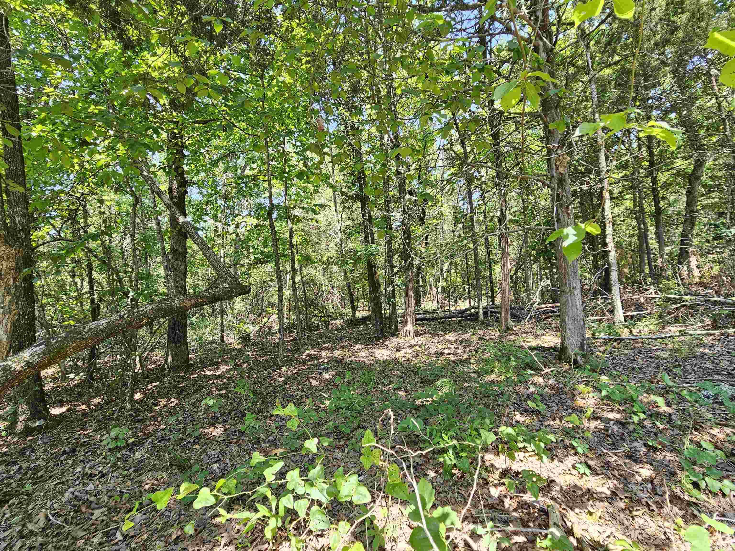 Metes & Bounds - Land