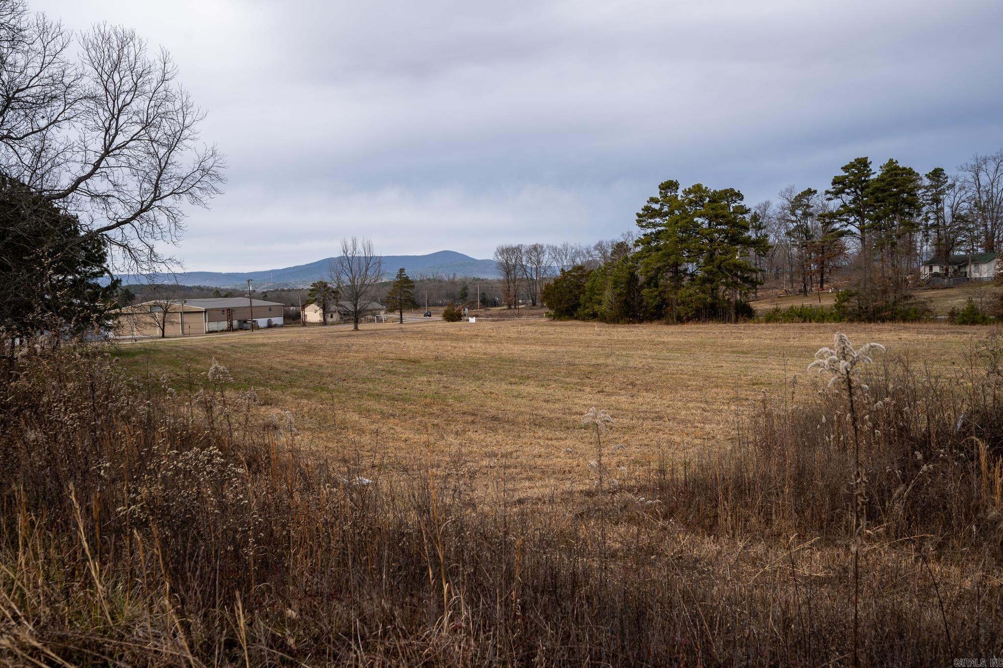 Property adjoining Mena Airport. Property has covenant to runway/airport access. Waterline on property, Gasline on property, Fiberoptic and Sewer- line on property. Commercial/ Industrial property waiting on your new business.