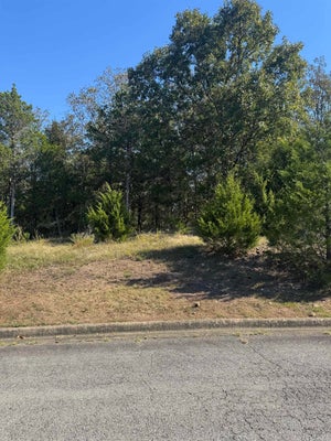 970 TIMBER KNOLL DR, CONWAY, AR 72034 - Image 72c6b617c4315ac22aa3d9d6d79ccbbf/631637377