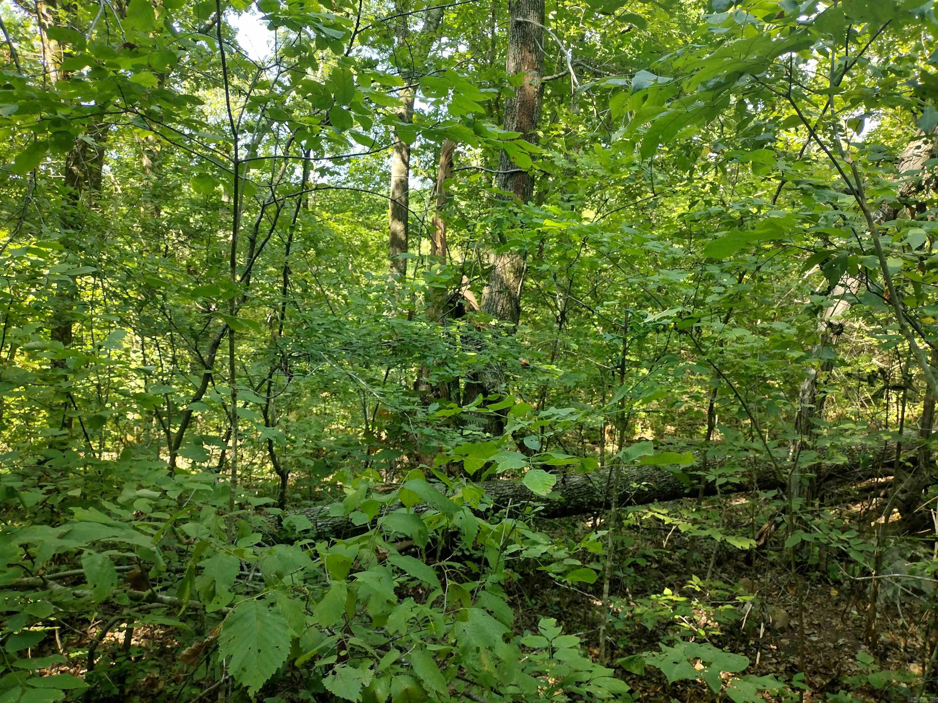Great hunting land or great place to build a new home no restrictions has some large oak trees owner says property has a cave I haven't been to cave, wet weather creek and waterfall has deeded easement to property