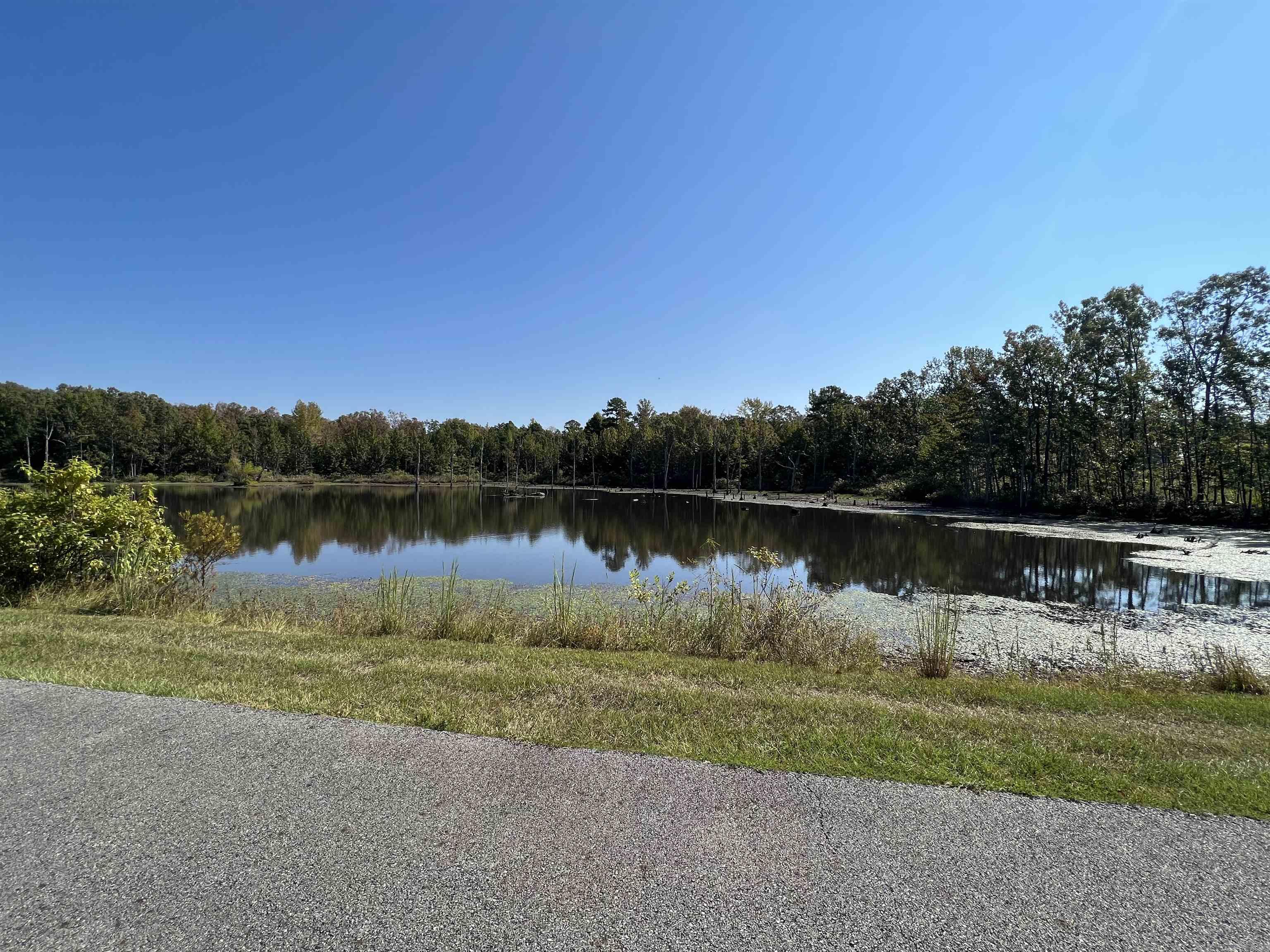 Paradise River - Land