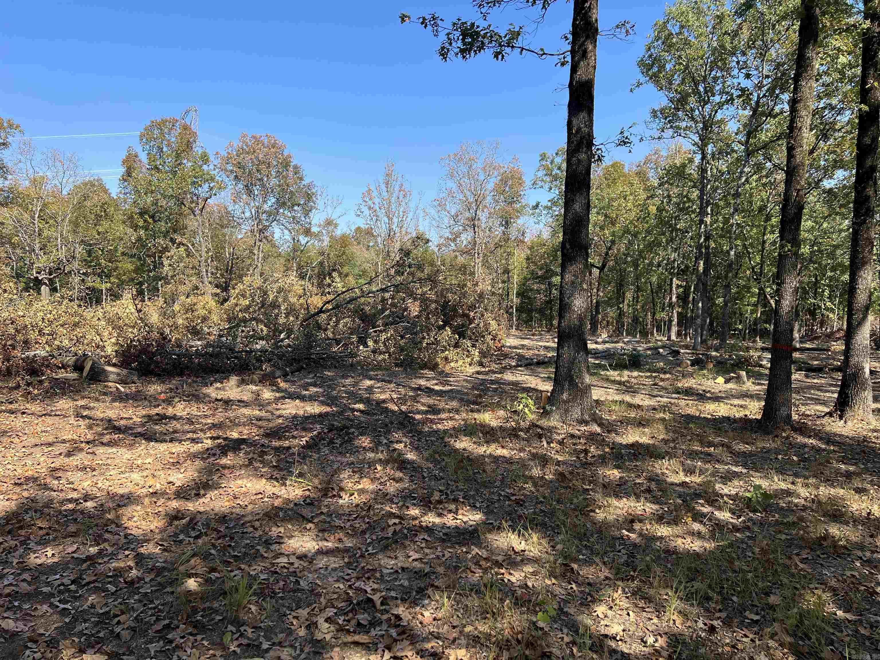 Paradise River - Land