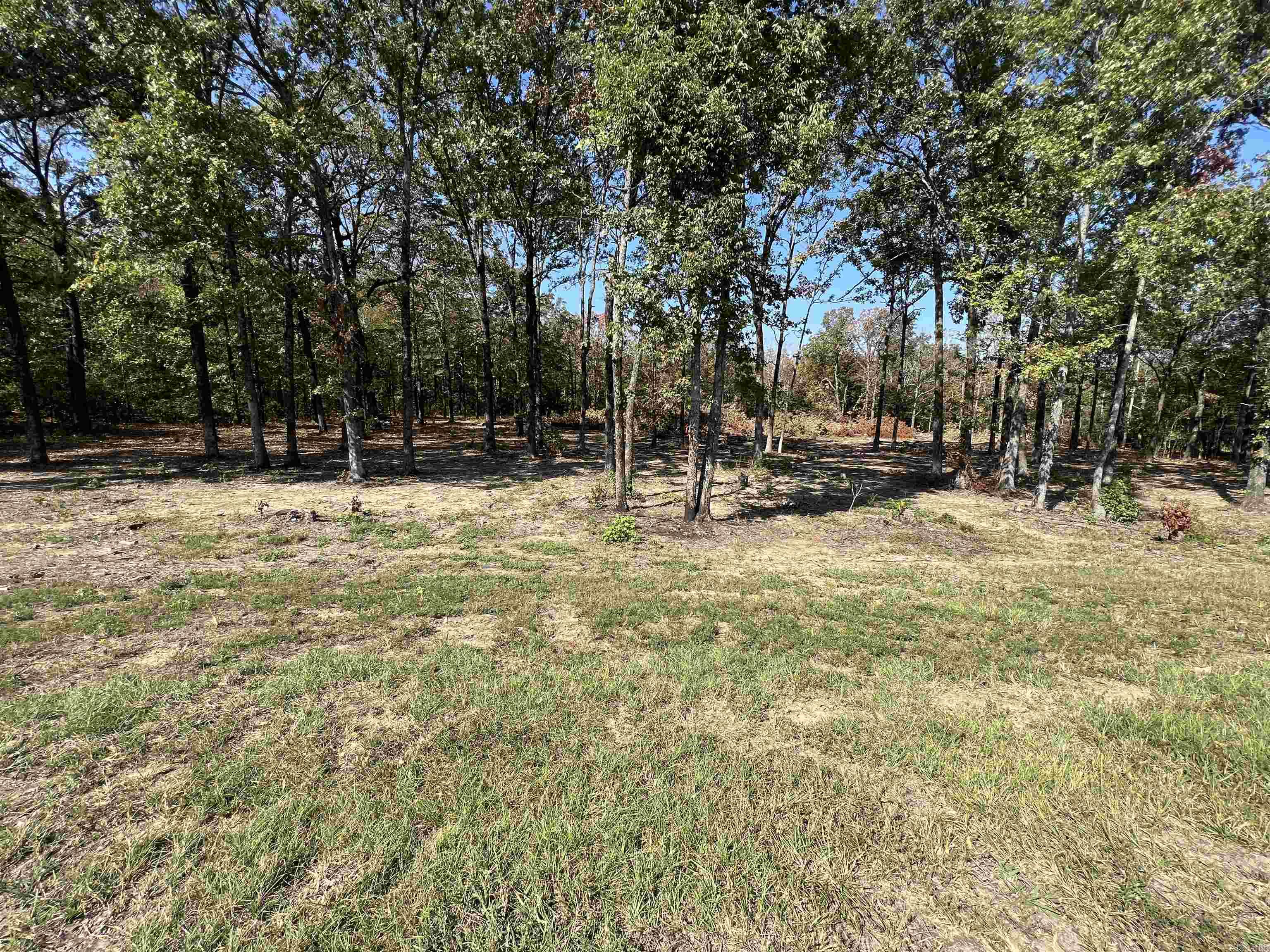 Paradise River - Land