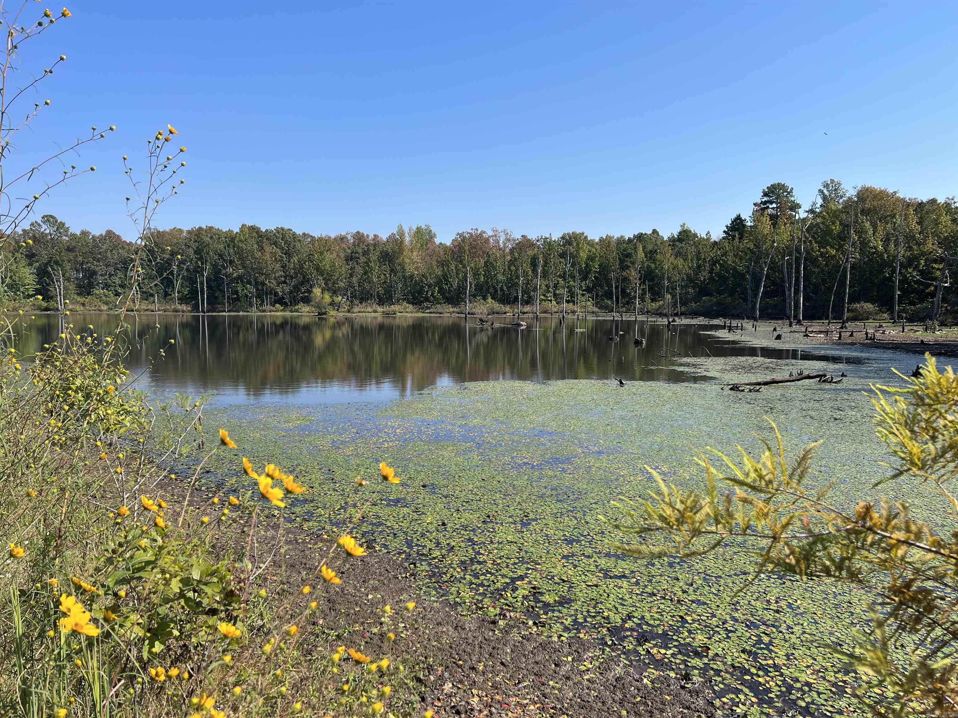 Paradise River - Land