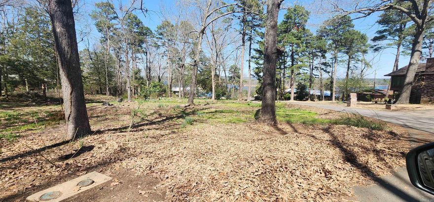 LAKE VIEW....two north facing lake view lots right in downtown Heber Springs. Cleared and ready to build on. City sewer, city water with meter on property and fiber internet available.  4 min to Walmart, Dam Site Rec area, and HS airport.