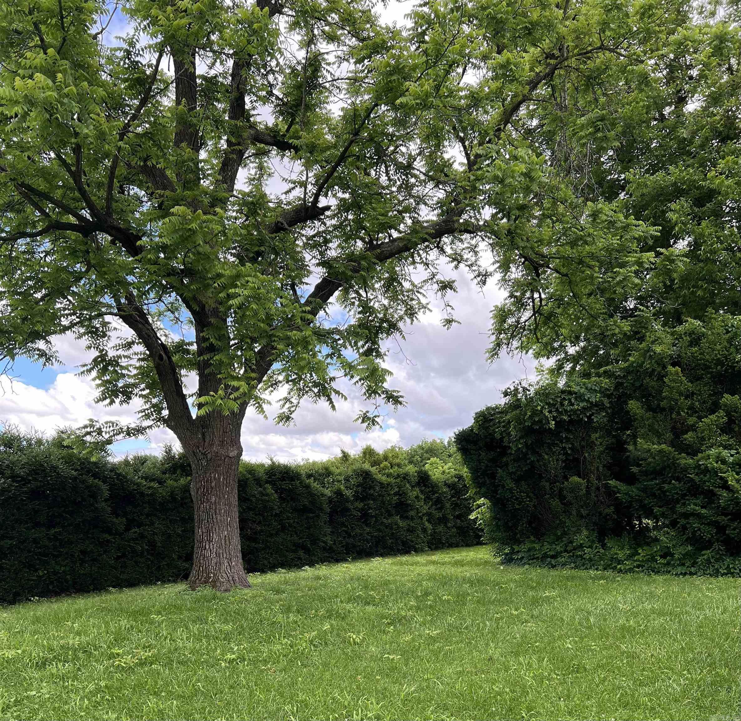 M&B PIGGOTT 2-20-8 - Residential