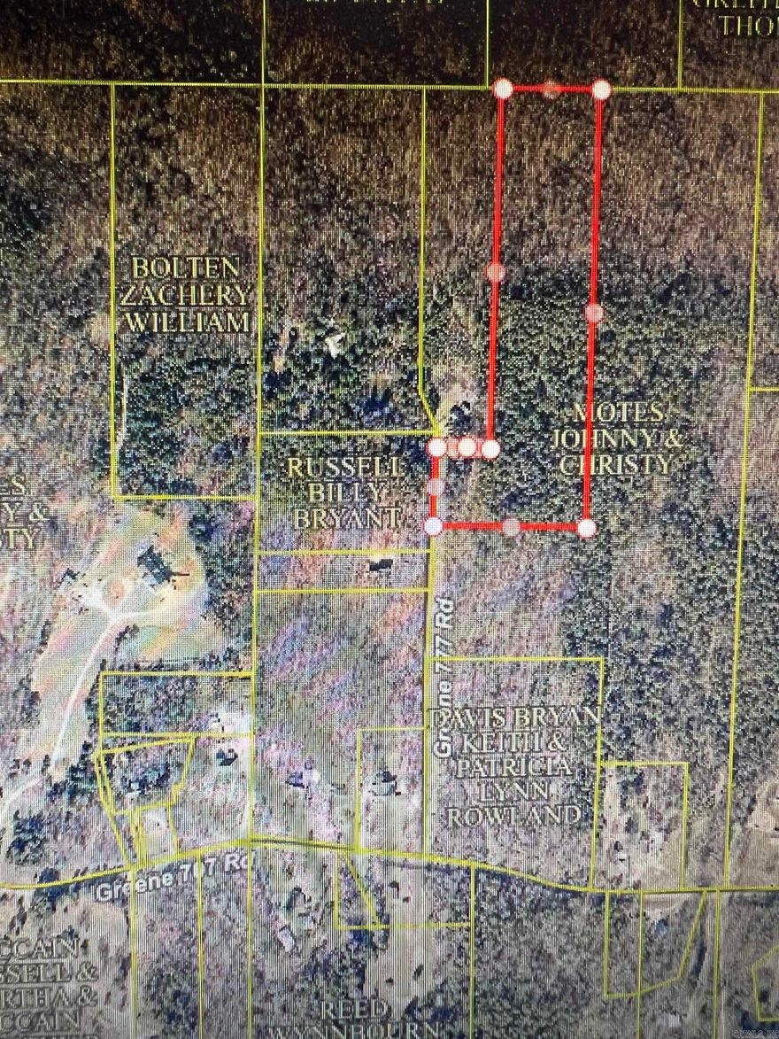 11 wooded acres with endless possibilities. Great place for hunting or building your dream home.
