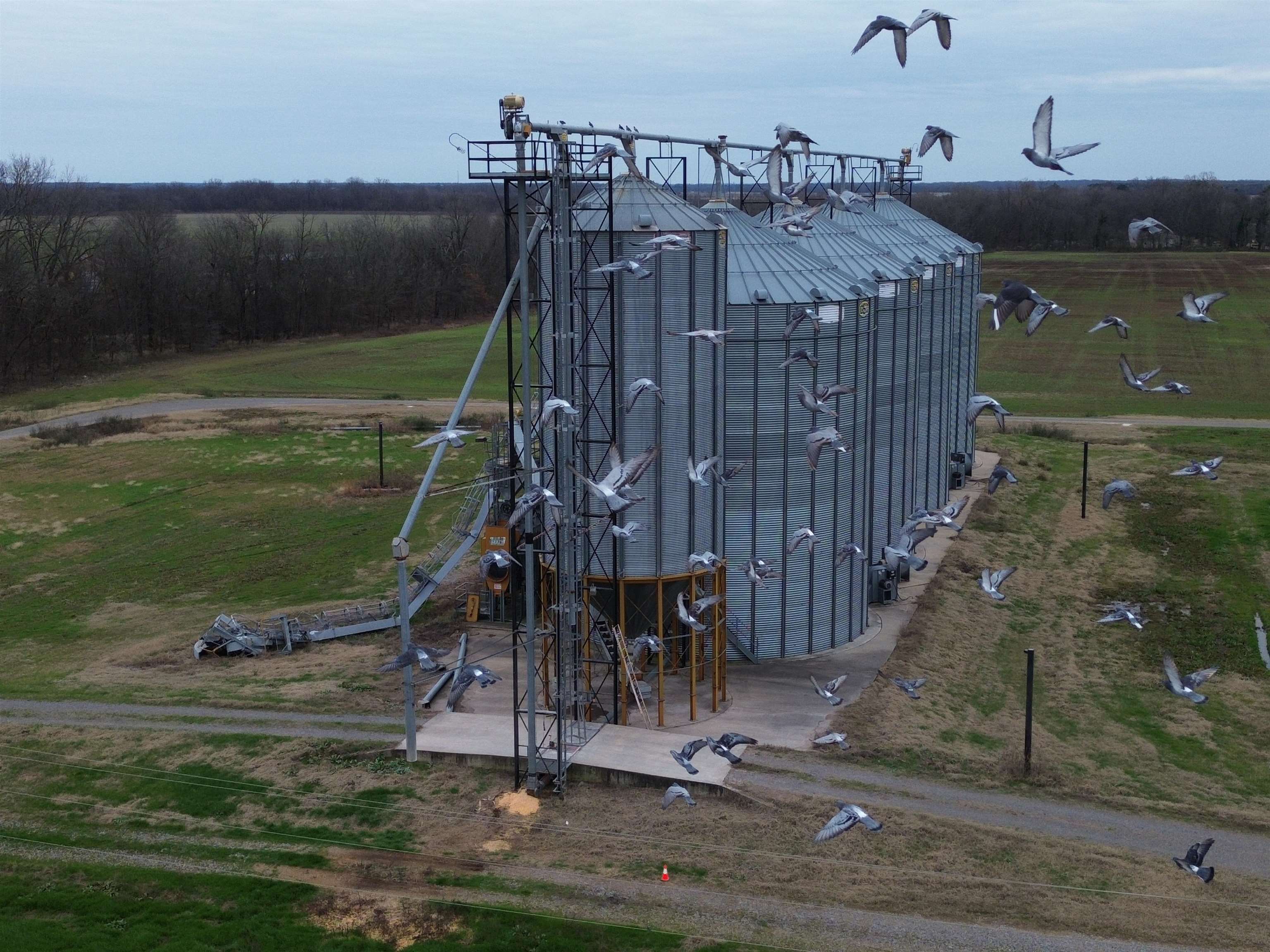 Metes & Bounds - Farm