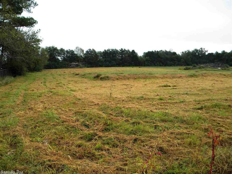 Spacious in-town lot, complete with building pad and gravel driveway.  Possible owner financing with $5,000 down.  Nice, flat ground for constructing your dream home or has room for multiple buildings (mobiles are allowed), if desired (1.5 acre lot measuring 150ft x 432ft).  Lot lies on a quiet, paved road, and is close to the new public library, as well as other amenities the town offers.  All public utilities available, but prospective buyers should verify.