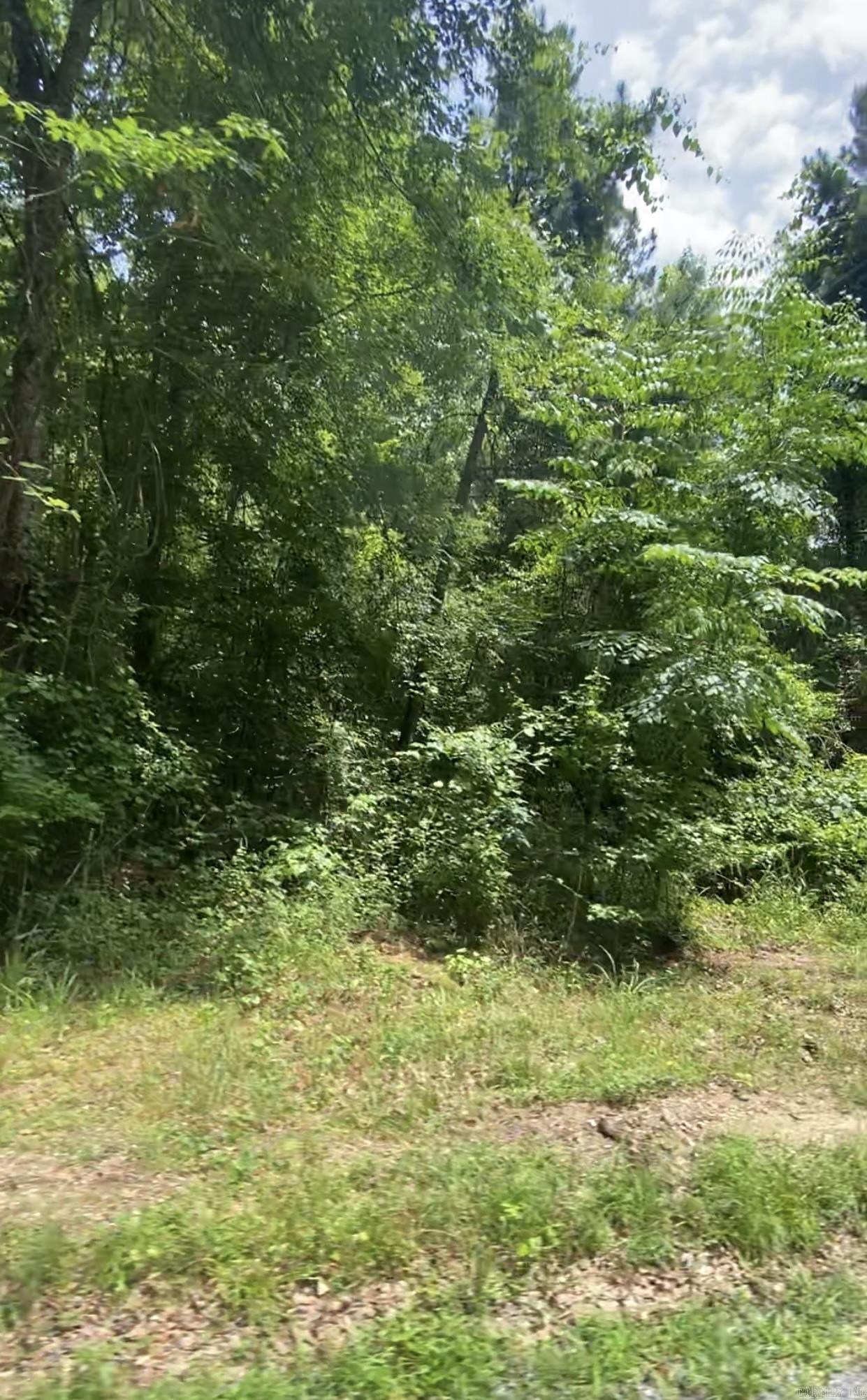 Build your home here! Acreage would need to be cleared for building