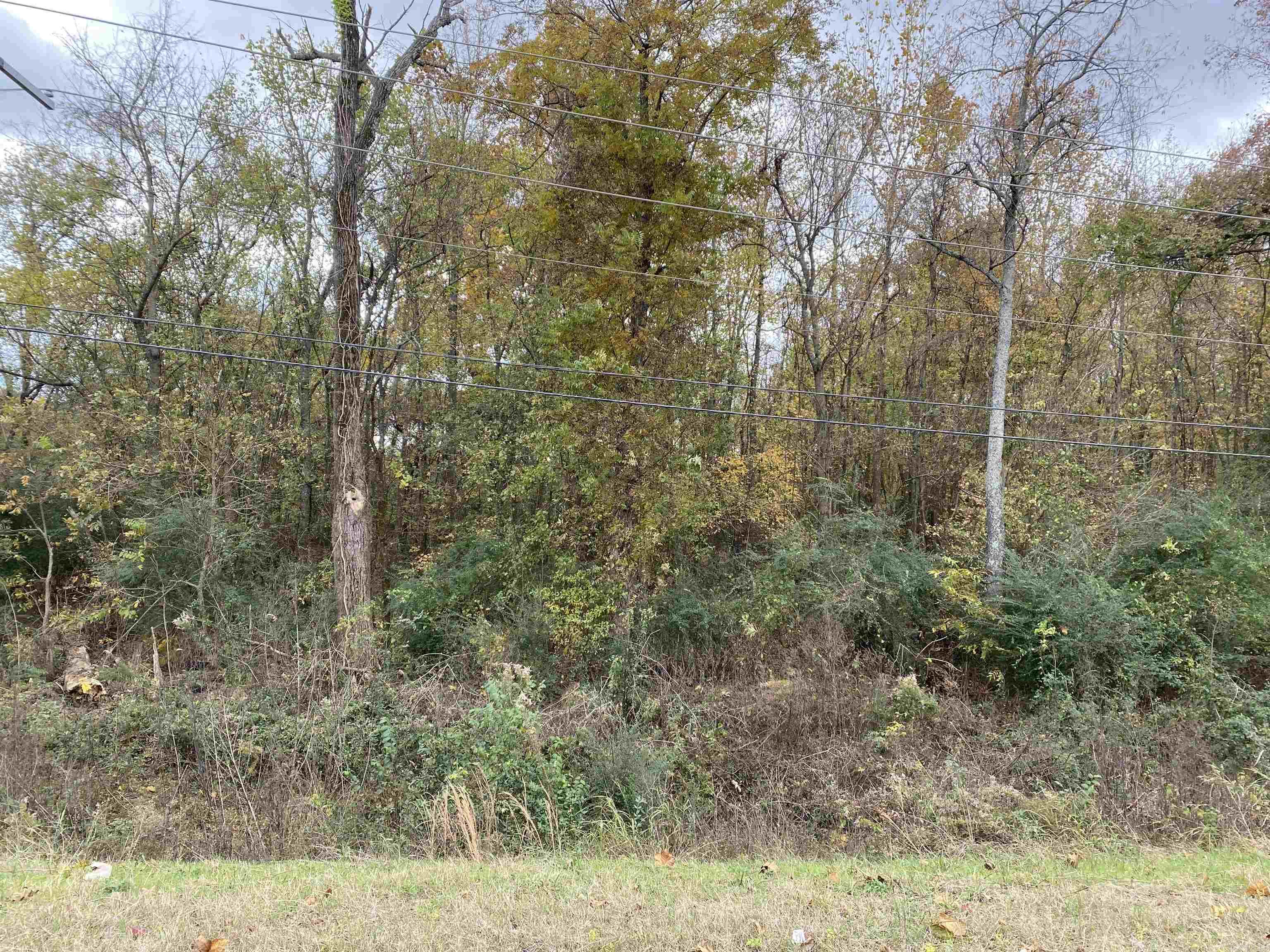 These 5 acres of prime real estate is perfect for a commercial business. Located just 6 miles from Conway and Vilonia it is a great location. Having highway frontage on Hwy 64 there is a lot of traffic that will go right by. There are many successful businesses close by. Approximately 1.5 acres is perfect for building on with the remaining 3.5 acres sloping down to a creek. Don't miss out on this great property to build your next business!