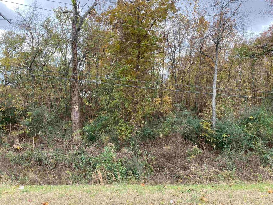 These 5 acres of prime real estate is perfect for a commercial business. Located just 6 miles from Conway and Vilonia it is a great location. Having highway frontage on Hwy 64 there is a lot of traffic that will go right by. There are many successful businesses close by. Approximately 1.5 acres is perfect for building on with the remaining 3.5 acres sloping down to a creek. Don't miss out on this great property to build your next business!