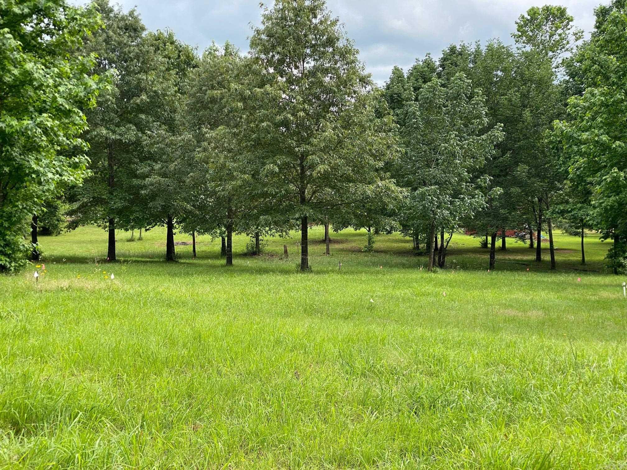 Beautiful lots located in Bean Point Estates close to Cove Creek Park, ready for you to build your forever home!! Minimum build in this subdivision is 1500 sq ft and the lots have been perked and mostly cleared. Great location to put in your boat or swim at the Cove Creek Park which is right down the road!!! Check these out and get started on your new home!!! Two adjoining lots are also available for sale
