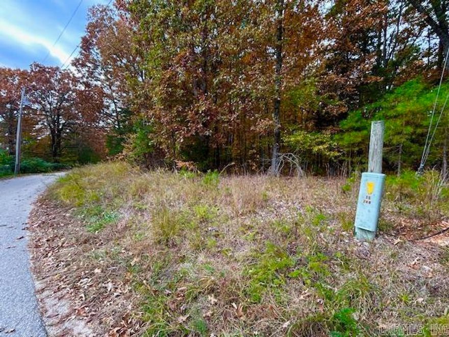 Discover your own private retreat on this 2.65 acre wooded lot, ready for your dream home or weekend getaway cabin. With power and water available at the road, you can start getting it ready to build right away. This property is filled with beautiful mature trees, you choose which to keep for your ideal homesite. Located just minutes from Mountain View, the Folk Music Capital of the World and even closer to the White River, famous for its world class trout fishing, floating, and hiking. this is the perfect blend of seclusion and convenience.