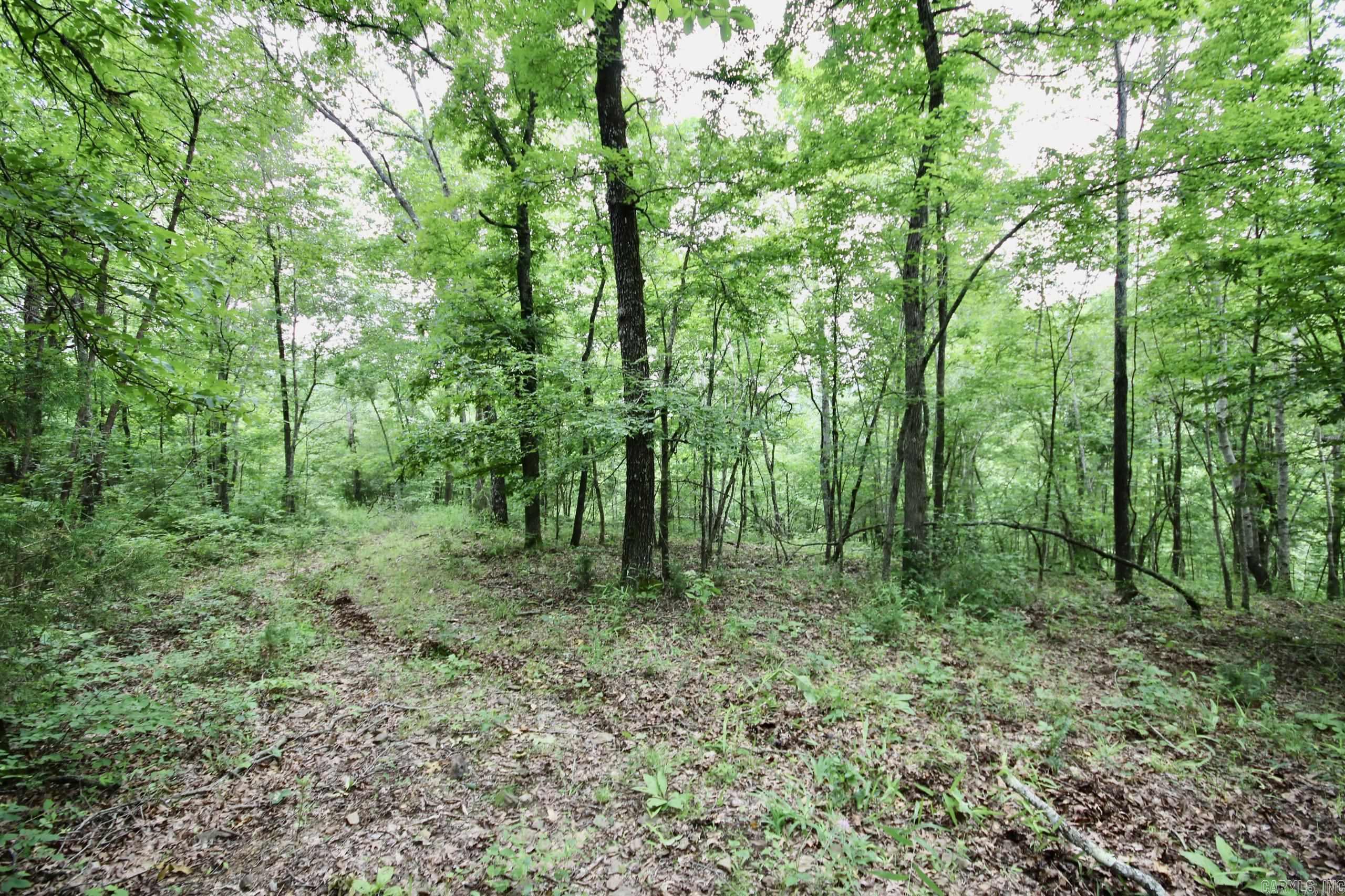 Not in Subdivision - Farm