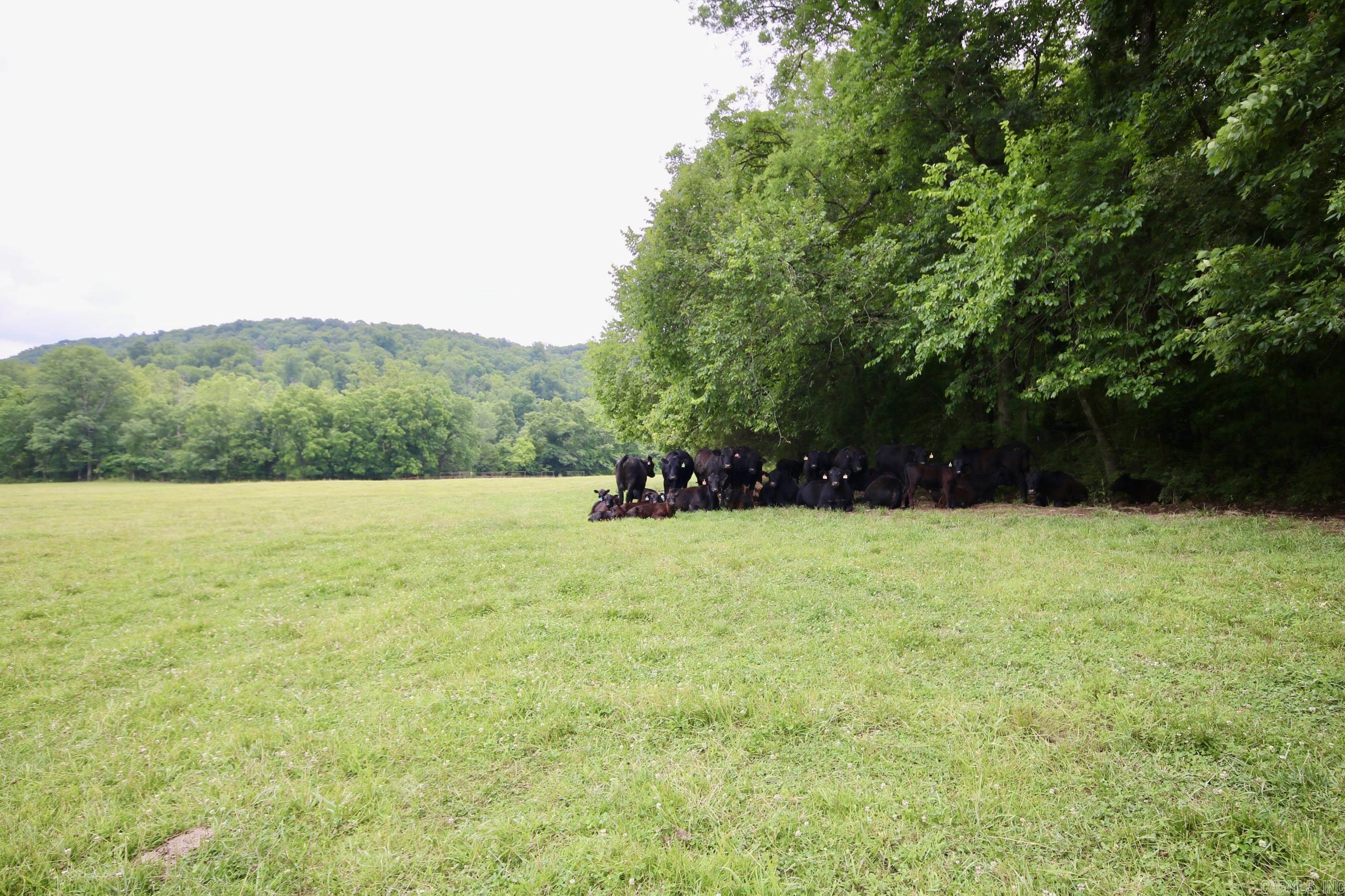 Not in Subdivision - Farm