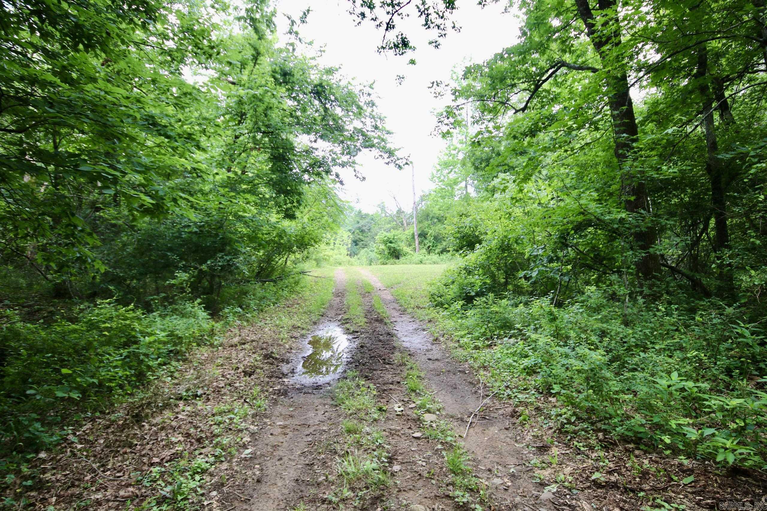 Not in Subdivision - Farm