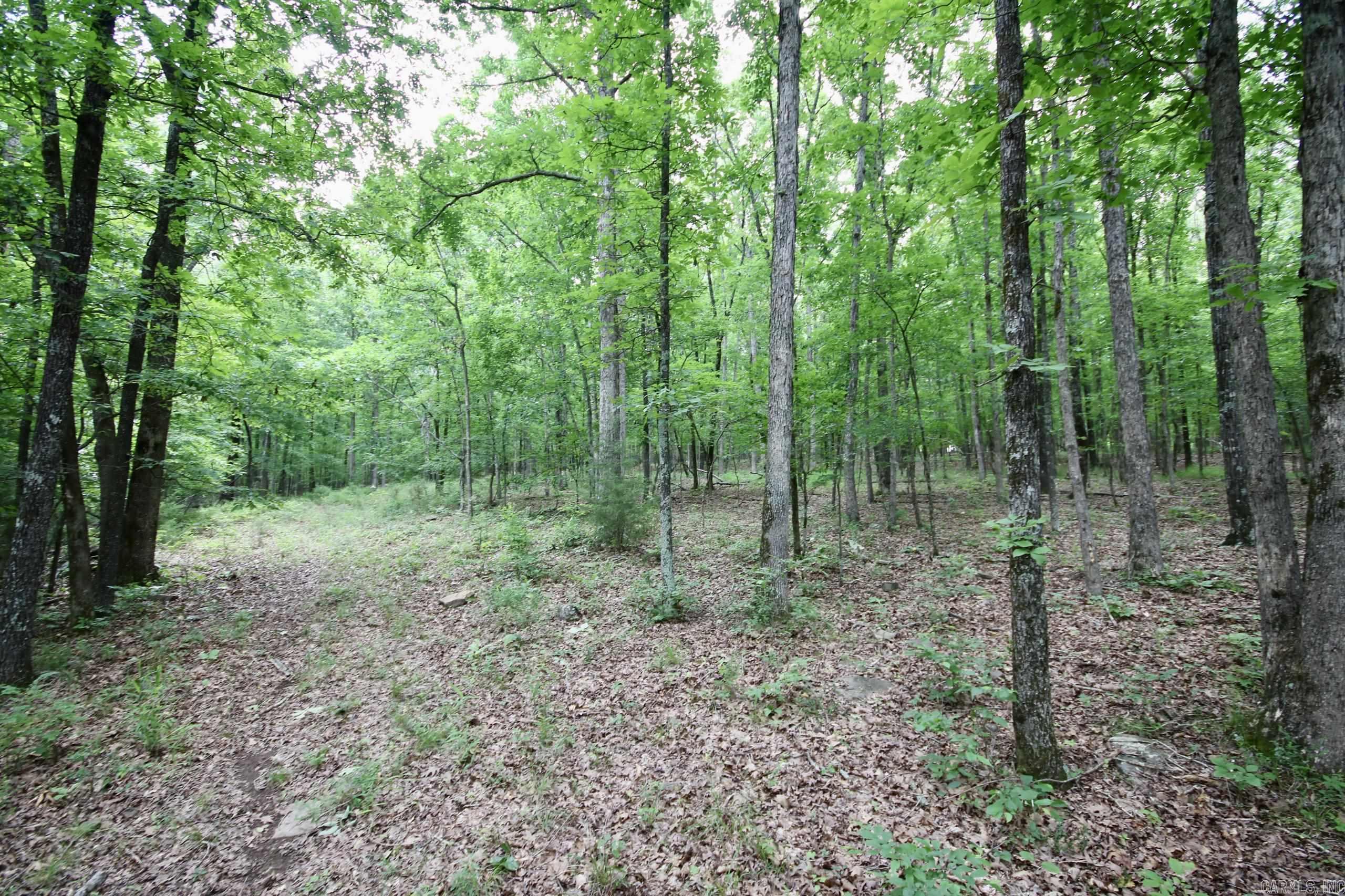 Not in Subdivision - Farm