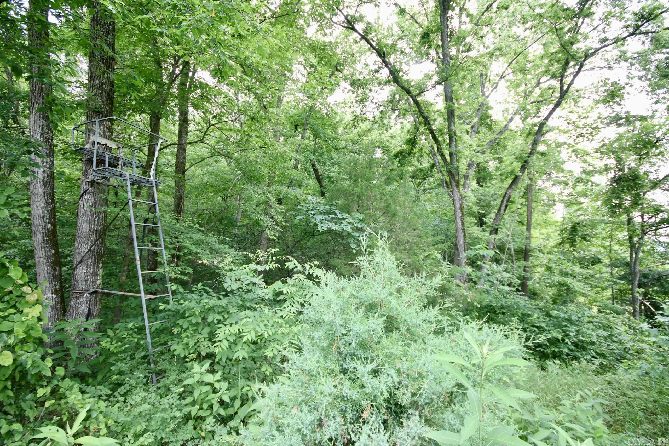 Not in Subdivision - Farm