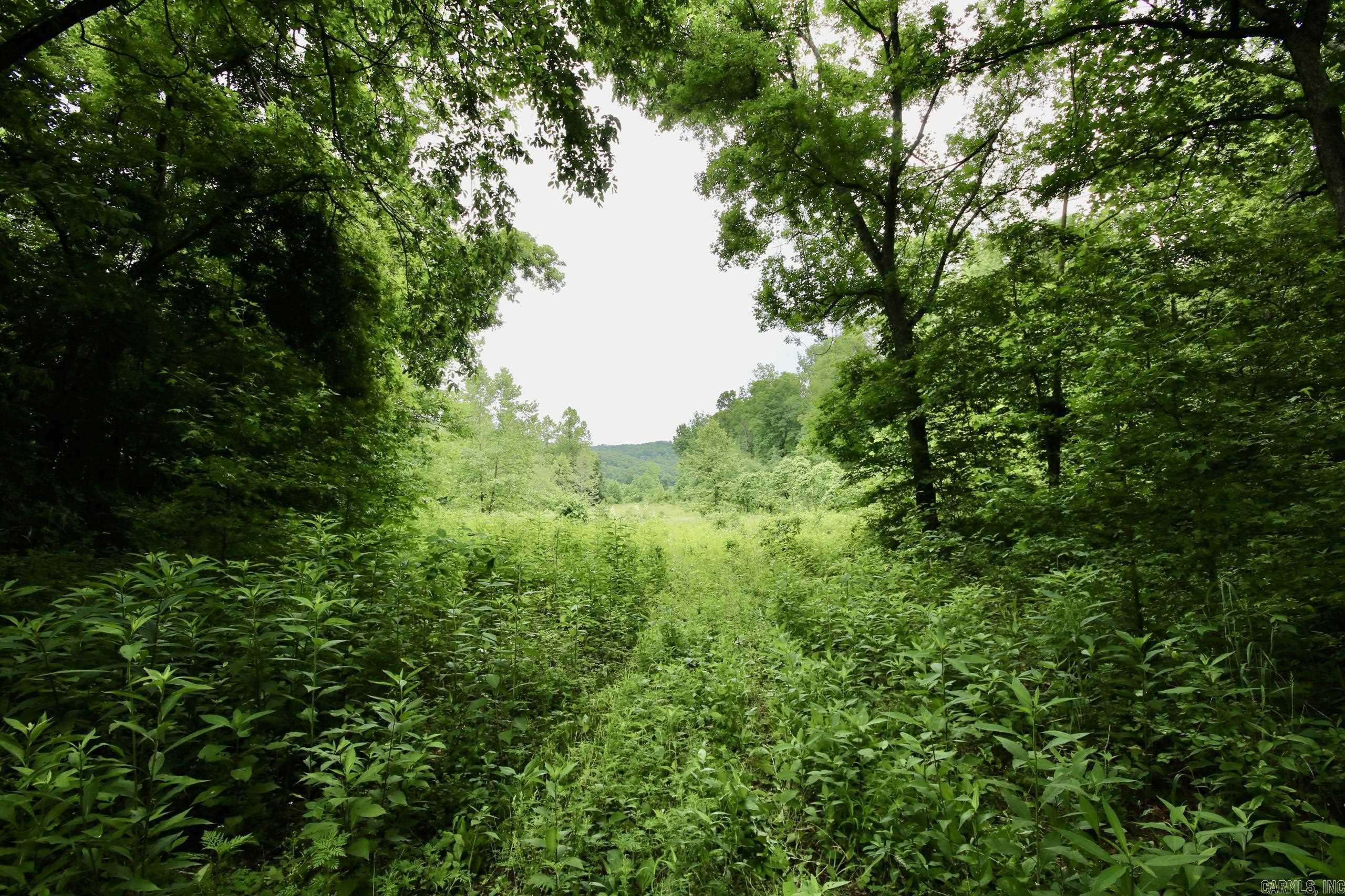 Not in Subdivision - Farm