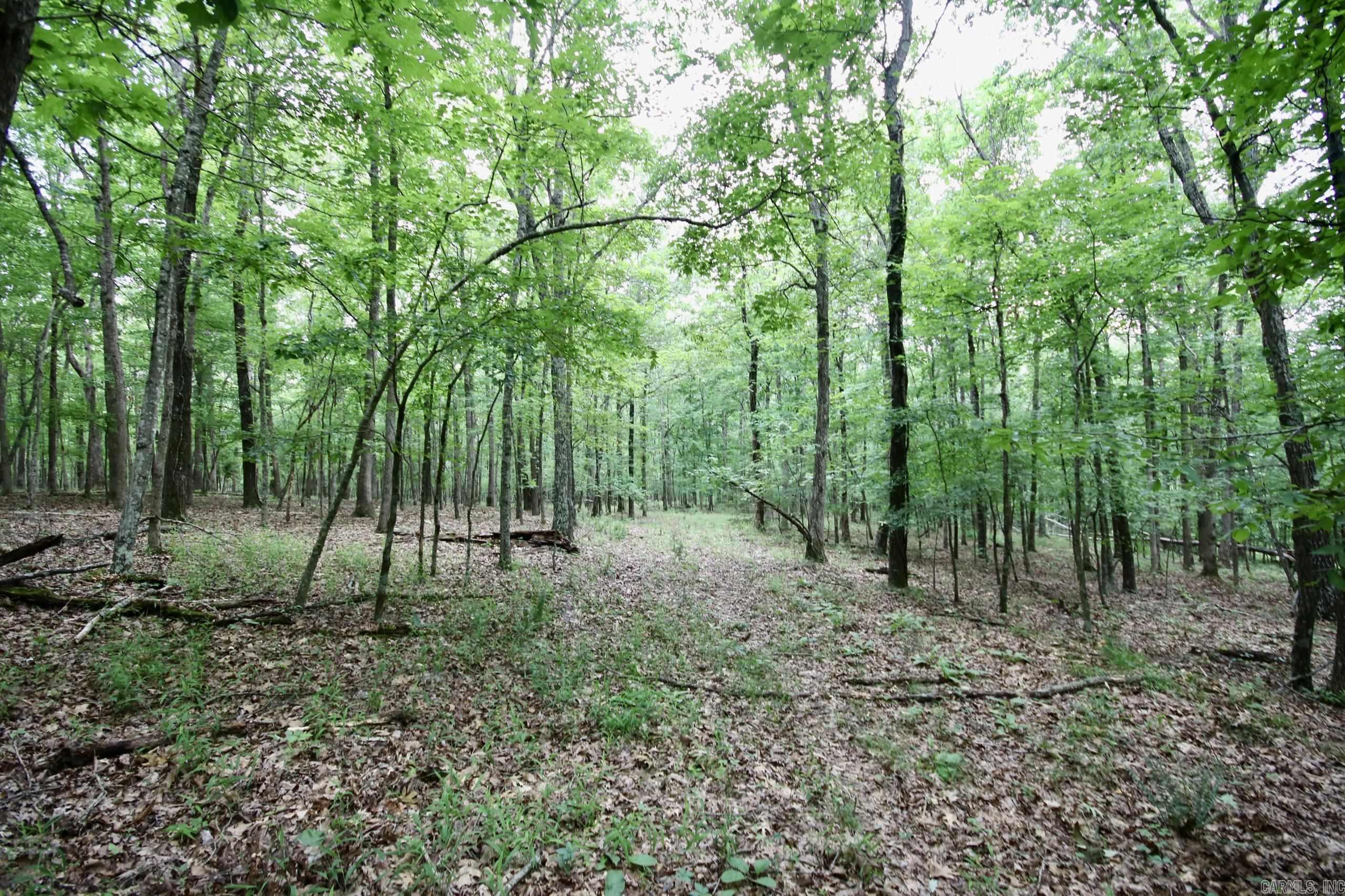 Not in Subdivision - Farm