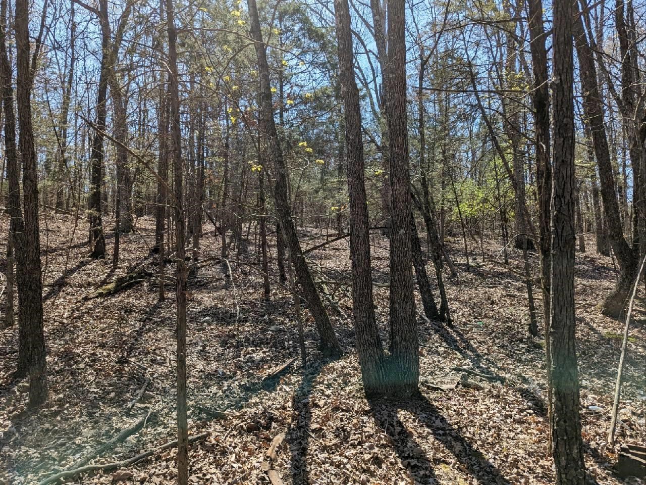 Not in Subdivision - Land