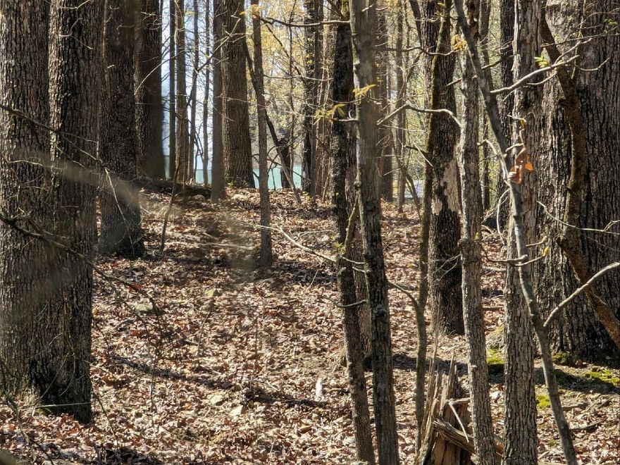 UNRESTRICTED VACANT LAND IN THE FOOTHILLS OF THE OZARKS This small acreage is located in north central Arkansas, being the foothills of the Ozarks. It consists of 5 acres and is all wooded. There are no restrictions. It is located on a gravel road, just a short drive to the small rural town of Cave City. And only about 15 minutes to Batesville, Arkansas. Electricity and rural water are available.