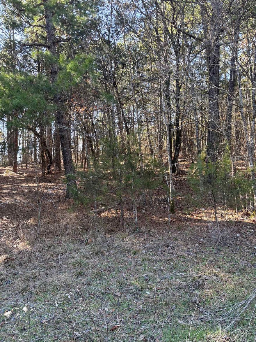 Buildable lot, Lake Hamilton School district.  Water and electricity at street.