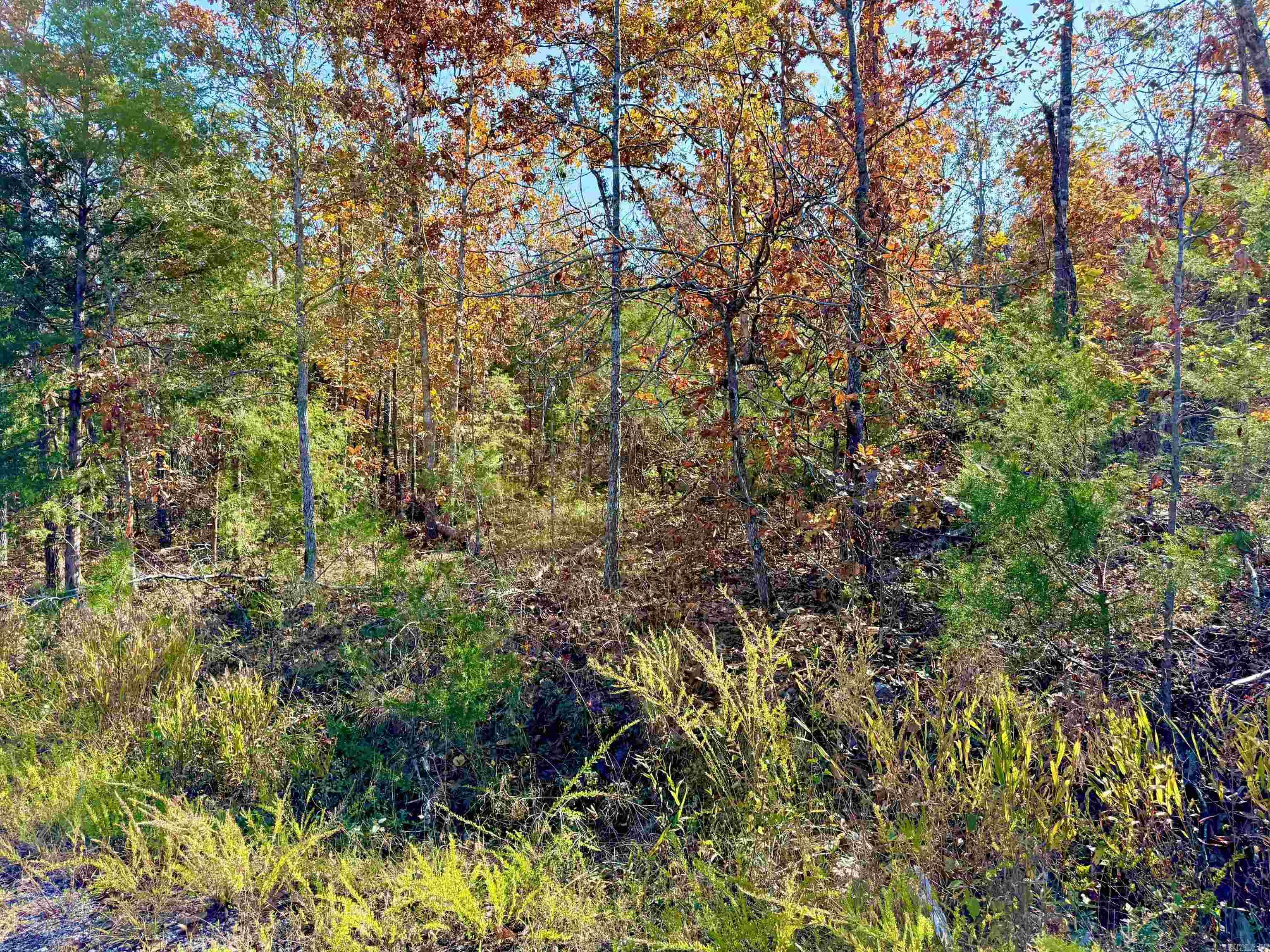 Briar Cliff Estates - Land