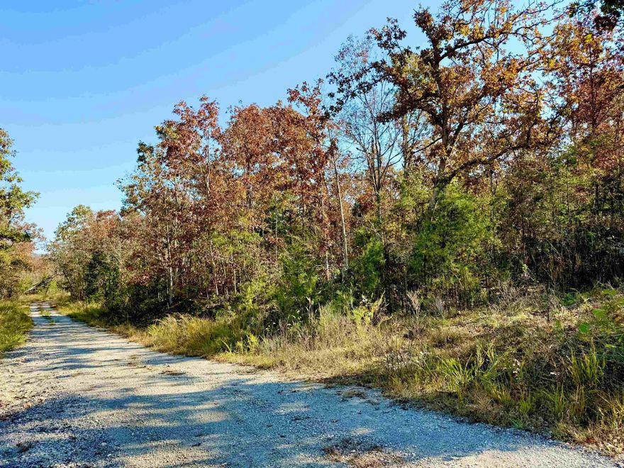 Bring your home plans! These two lots have water and electric at the road and have a 3-bedroom septic permit in place. They’re ready for your new build with already level areas, culverts in place and some moderate clearing needed. Located a short drive from two boat launches and marinas on Norfork Lake, these lots have a peaceful view over the valley across the street and no neighbors in sight. A rare, affordable opportunity with a motivated seller—start your dream living today!
