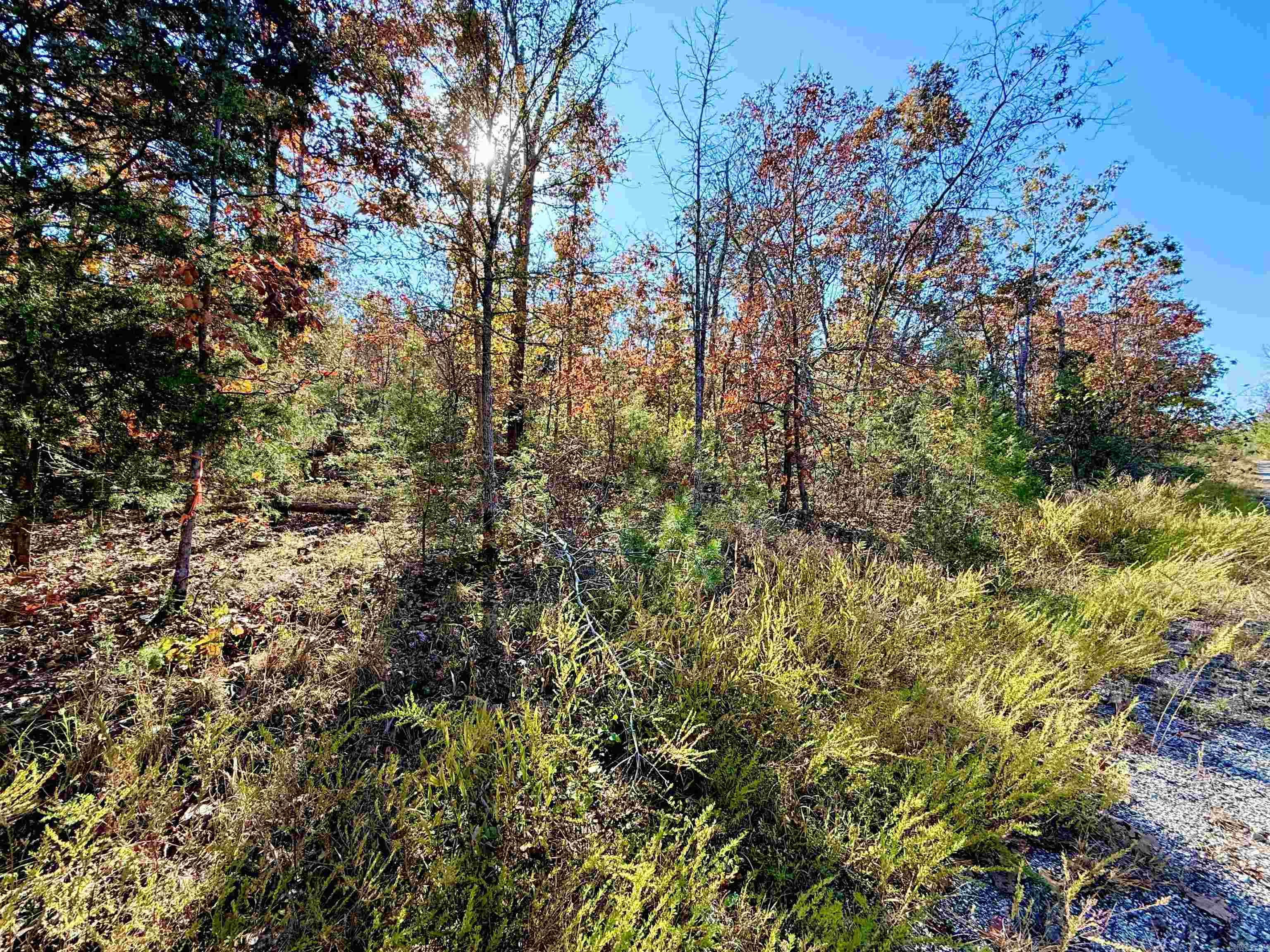 Briar Cliff Estates - Land