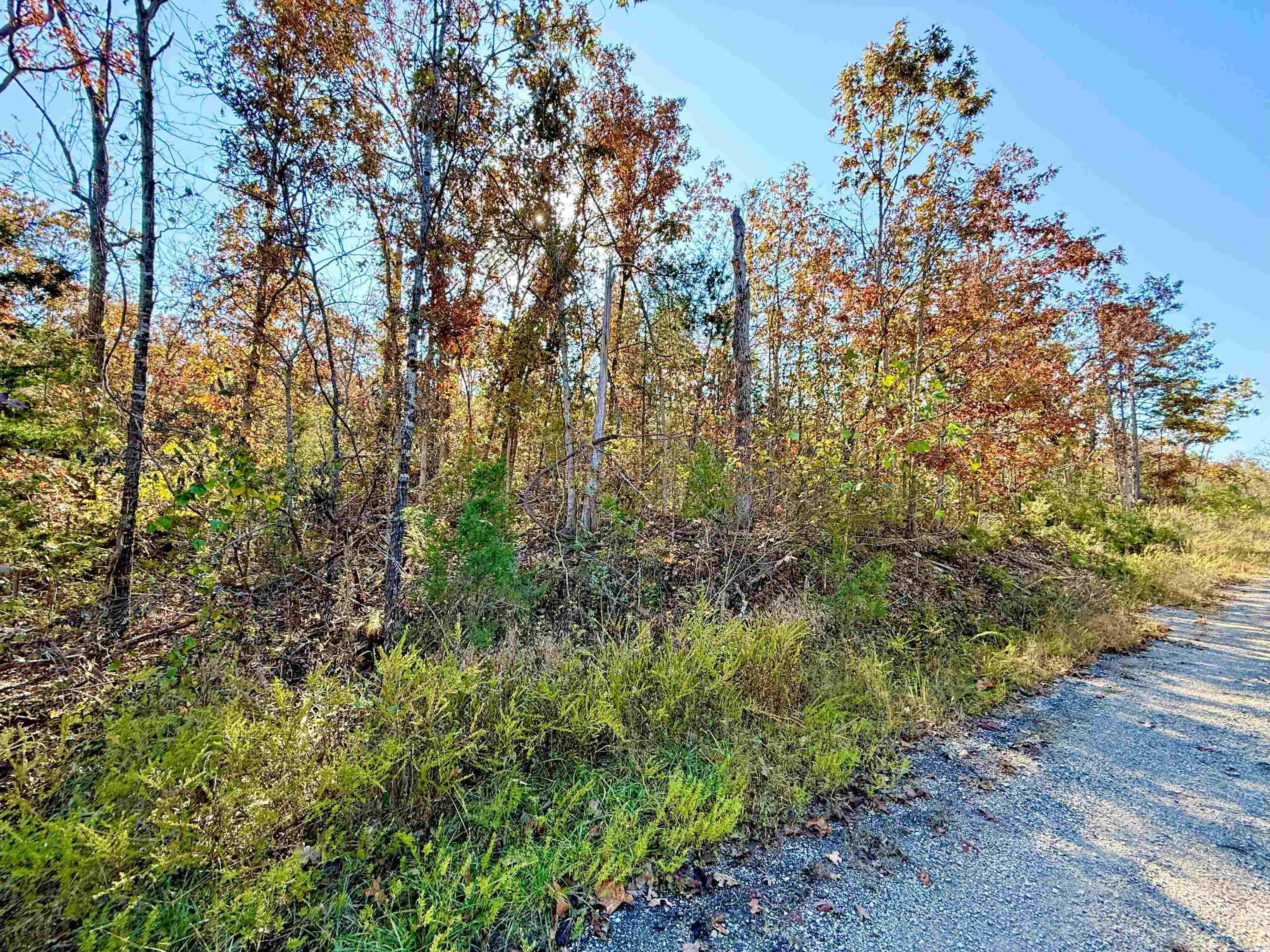 Briar Cliff Estates - Land