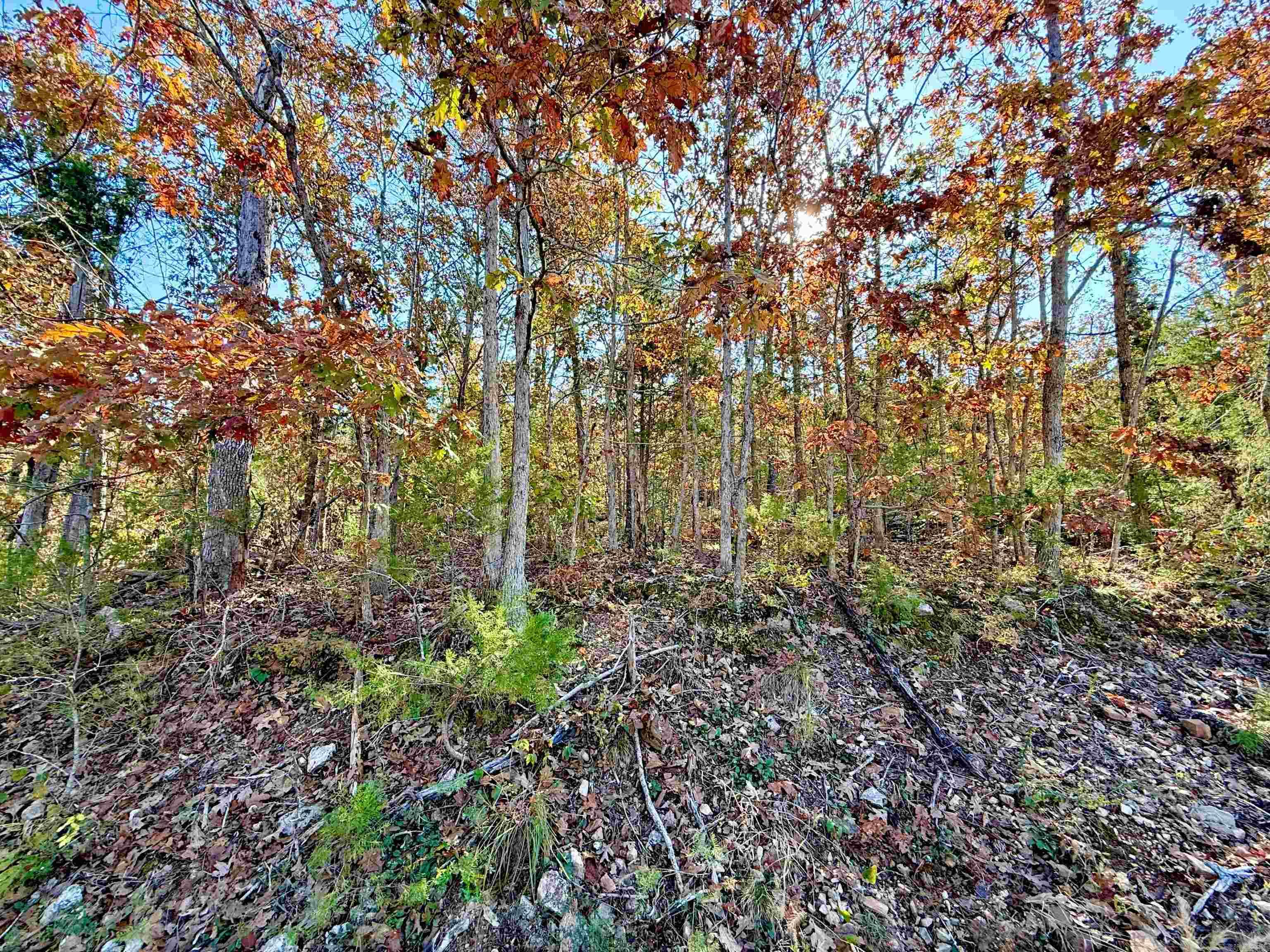 Briar Cliff Estates - Land